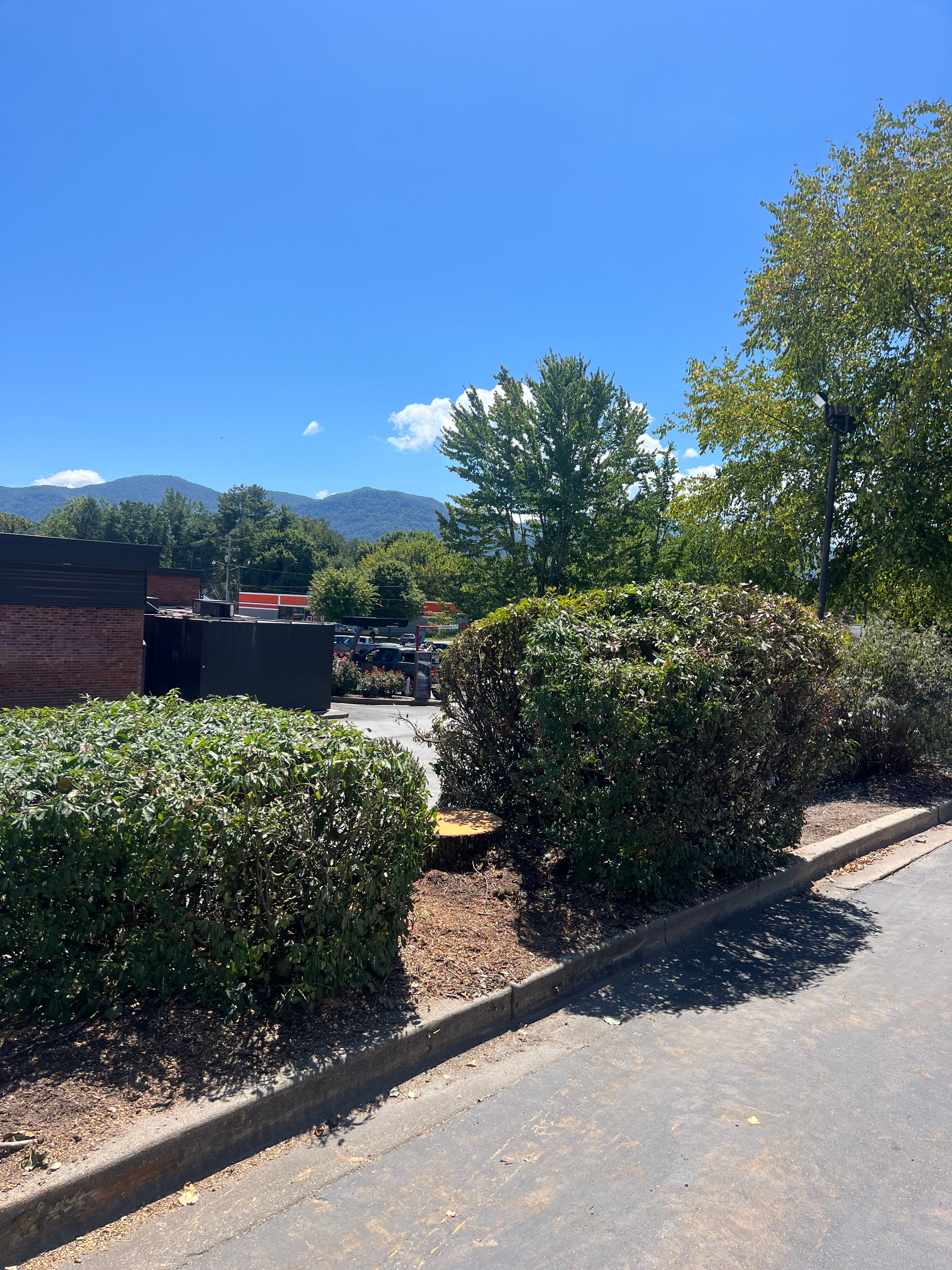  for Ground To Sky Tree Care in Asheville, North Carolina