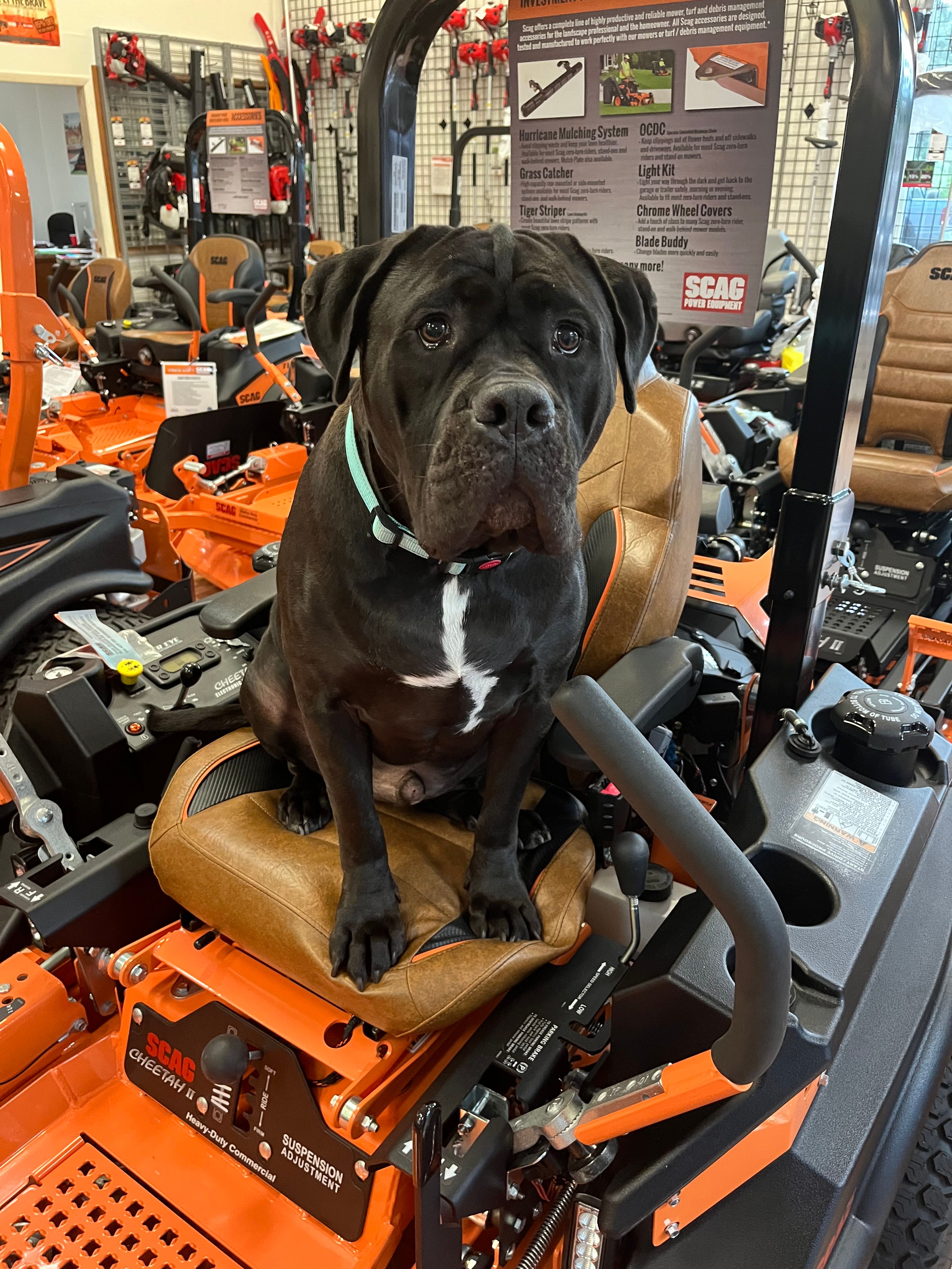  for Space Coast Property Maintenance and Management LLC in Melbourne, FL