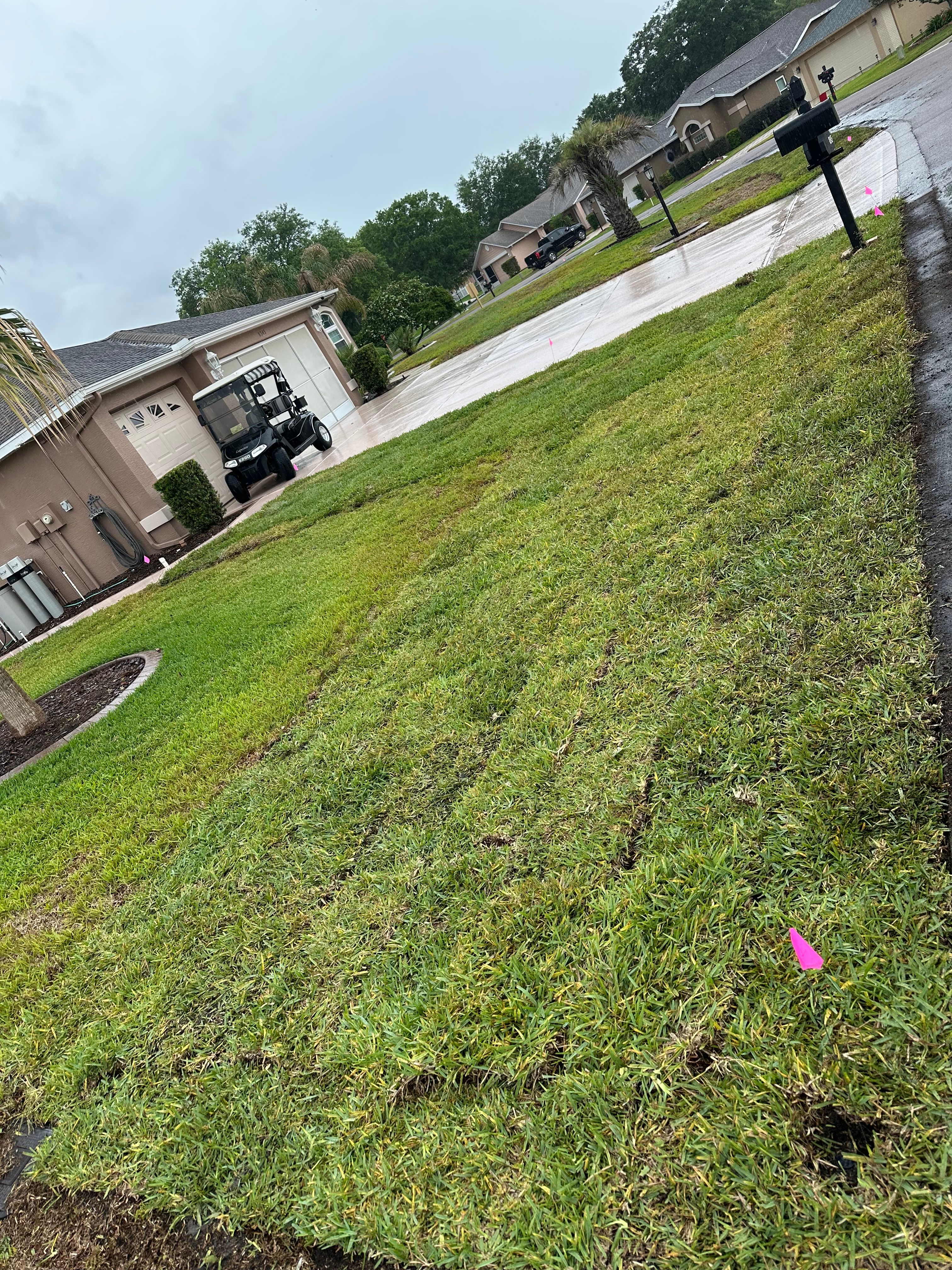  for Gulf Bay Sod in Clearwater, FL