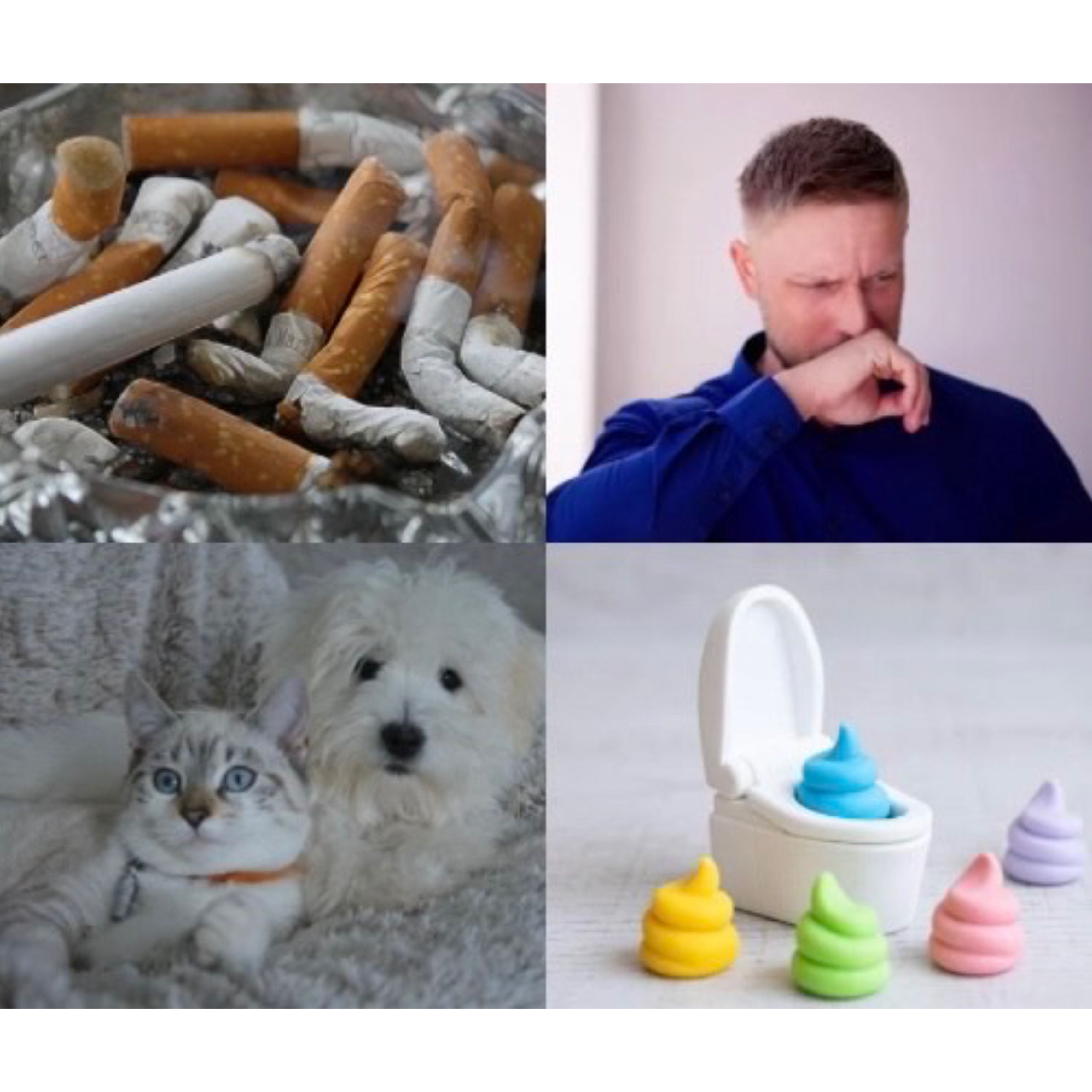  for N&D Restoration Services When Disaster Strikes, We Come In in Cape Coral,  FL