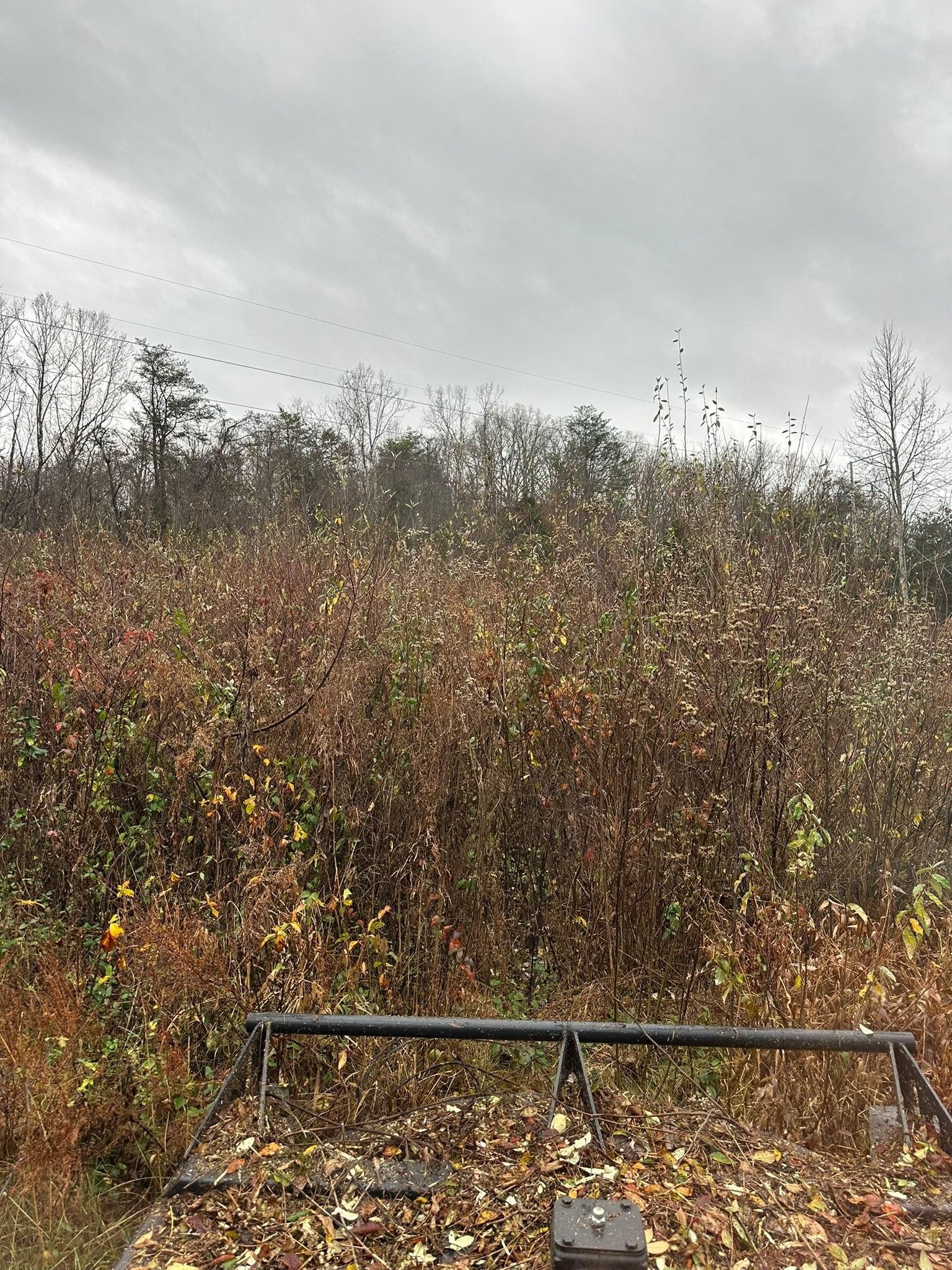  for Excavation Innovations in Rogersville, TN