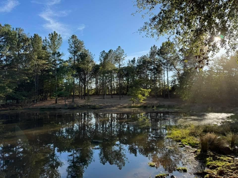  for KLNAX Enterprises in Newton County, GA