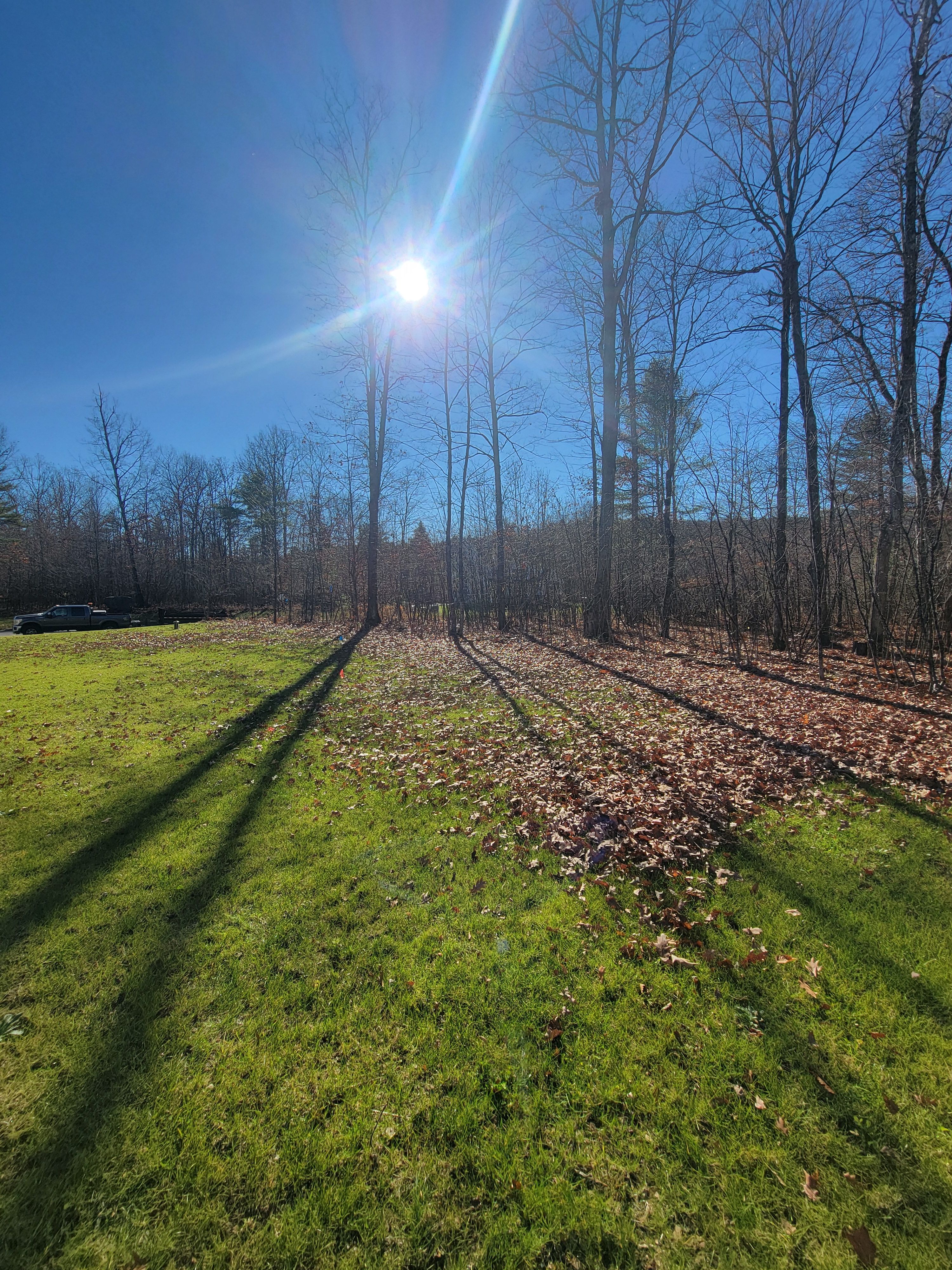  for Sweet Scapes in Ballston Spa, NY