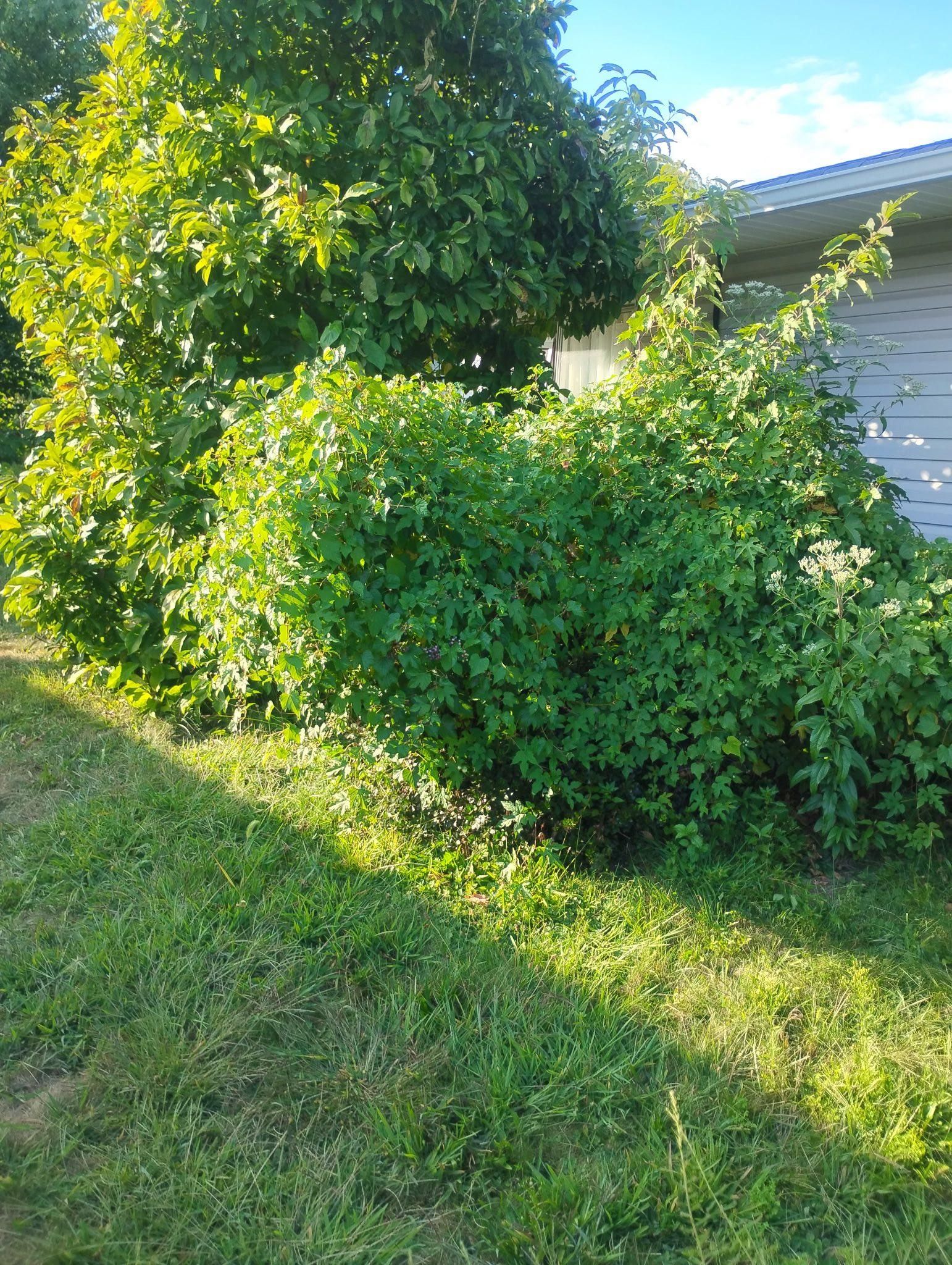  for Russo’s Landscaping & Tree Removal in Levittown, PA