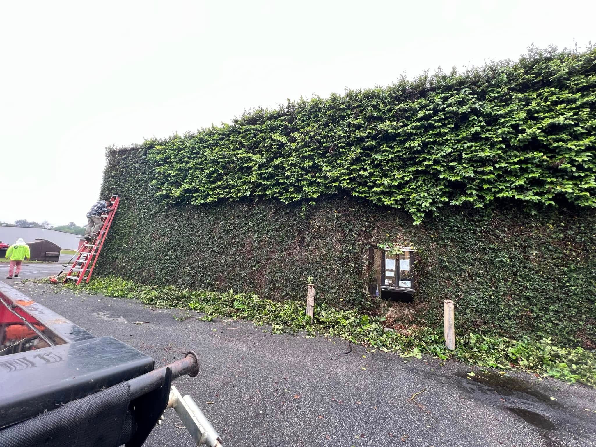  for Thomasville Lawn Care in Thomasville, GA