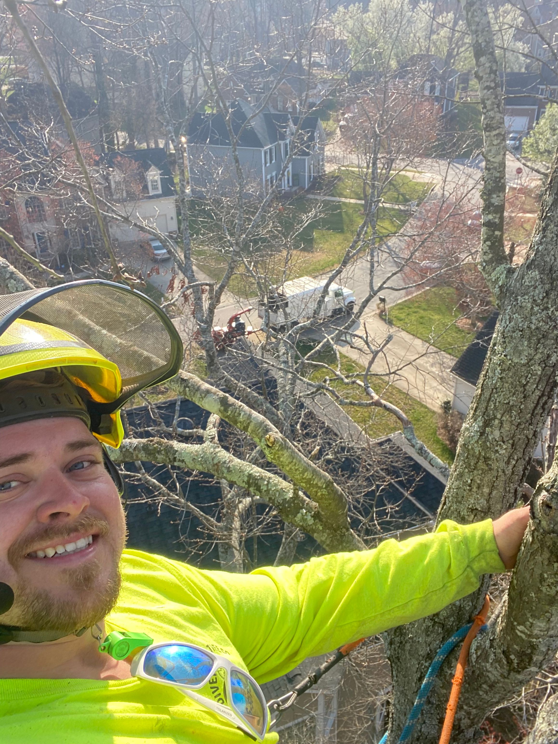 All Photos for Diversified Tree Company in Trinity, NC