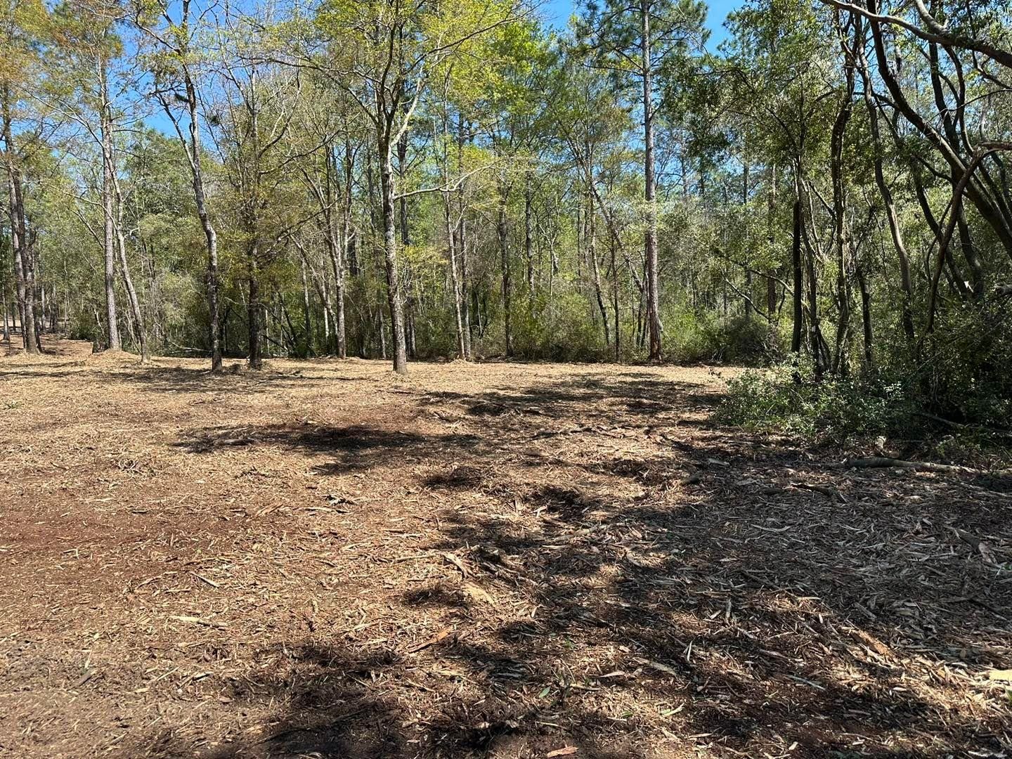 All Photos for White’s Land Maintenance in Milton,, FL