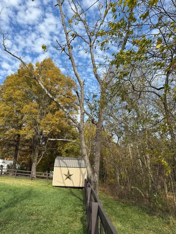  for Down South Tree Care and Landscaping in Maiden, NC