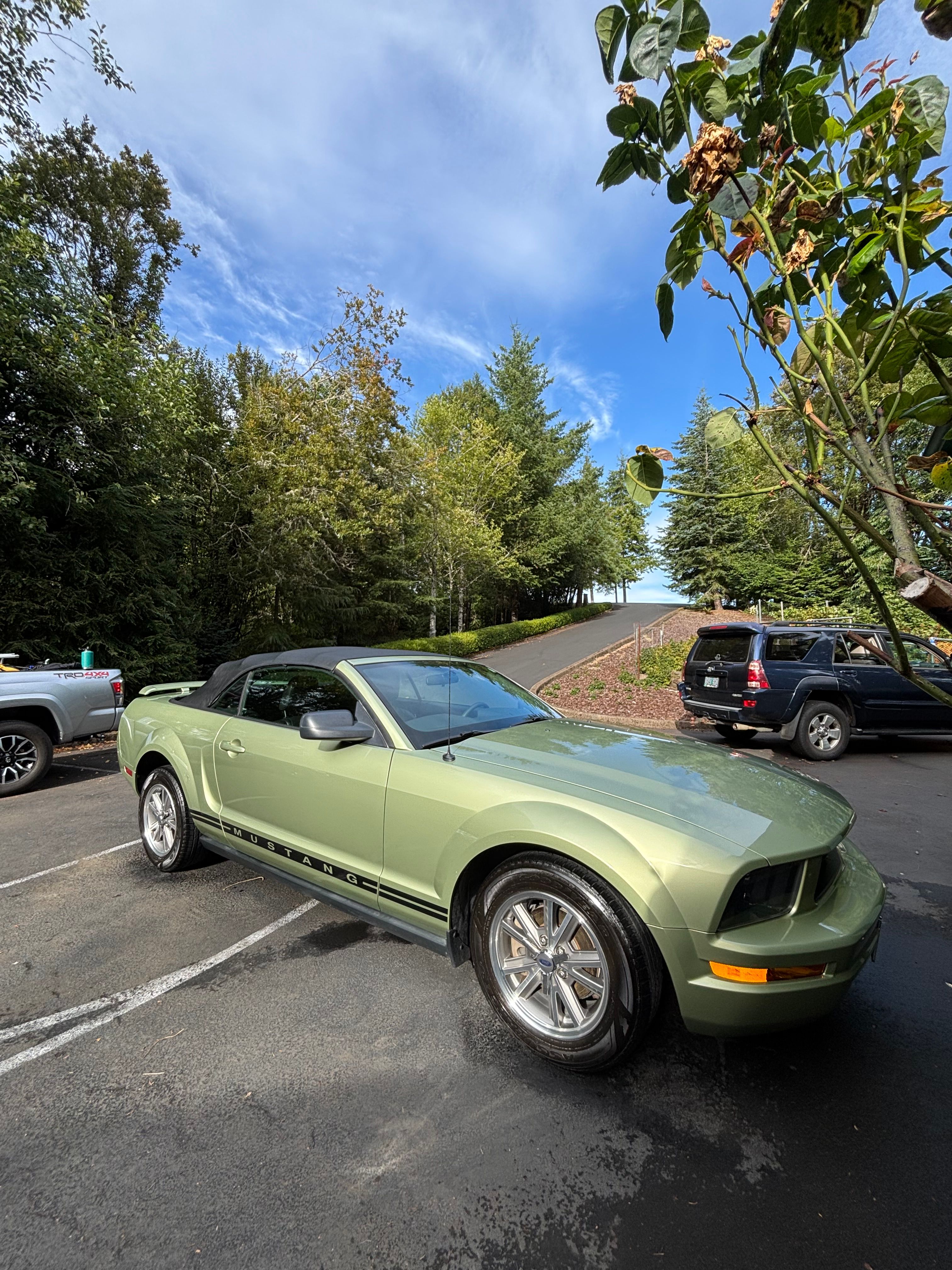  for Will's Auto Detailing in Yamhill County, OR