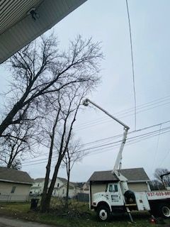 All Photos for Pro Tree Trim & Removal, Llc in Dayton, OH