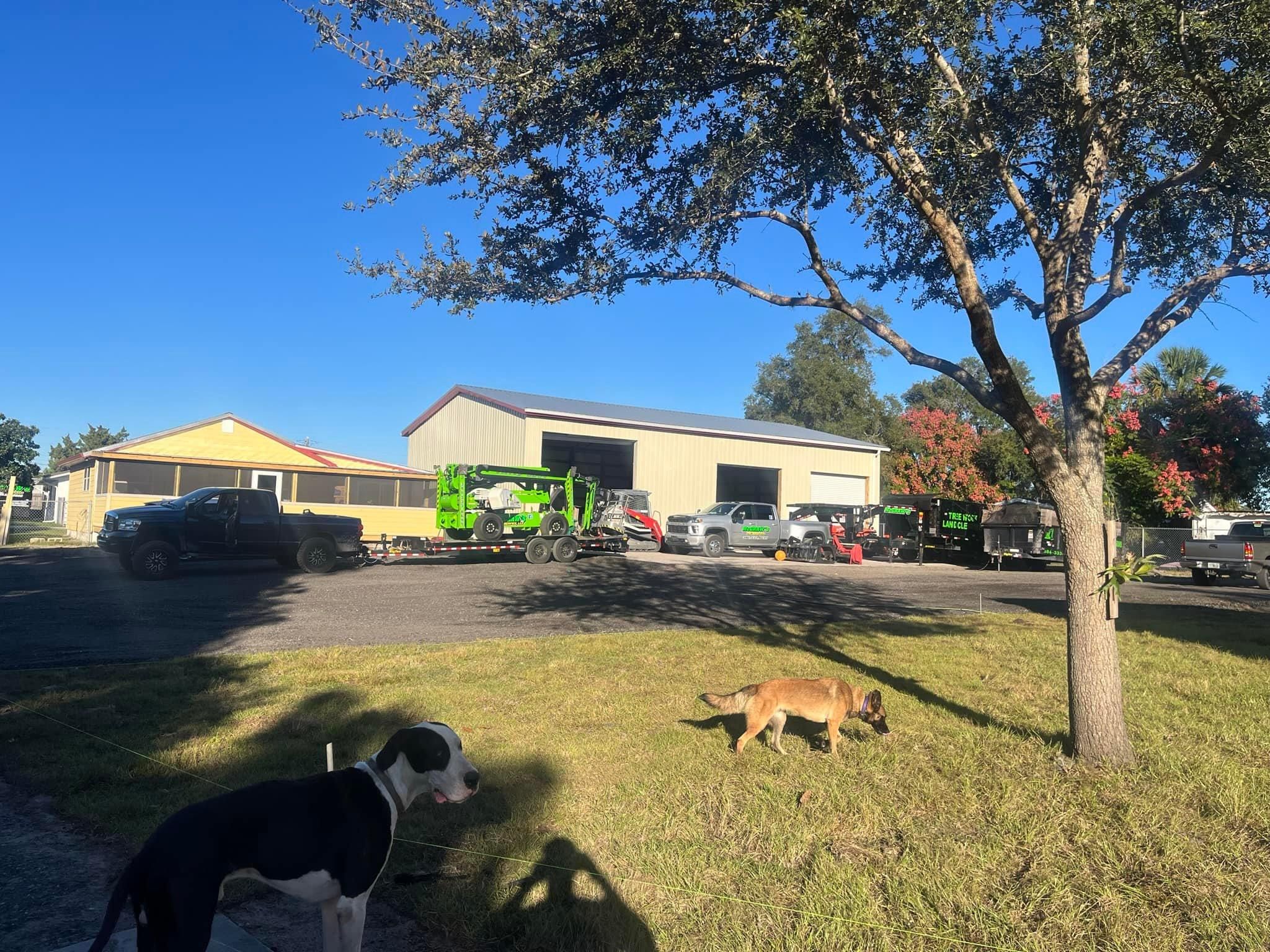  for McGraw’s Lawn and Tree Service in DeLand, FL