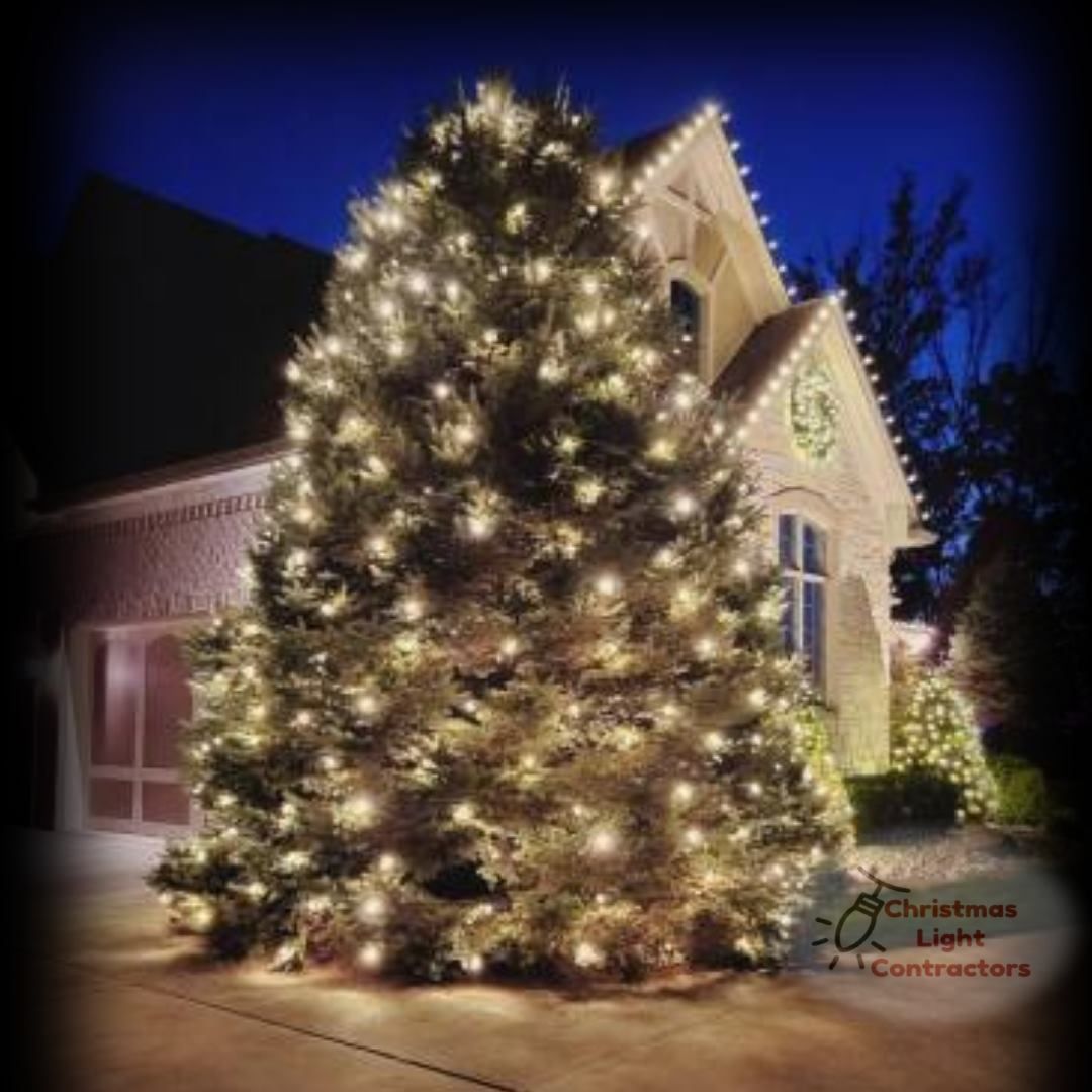 Light Installation for Christmas Light Installers in Indianapolis, IN