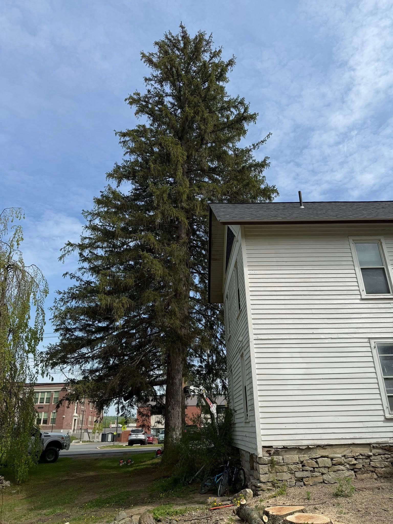 All Photos for Sterlings Tree Removal in Cobleskill, New York