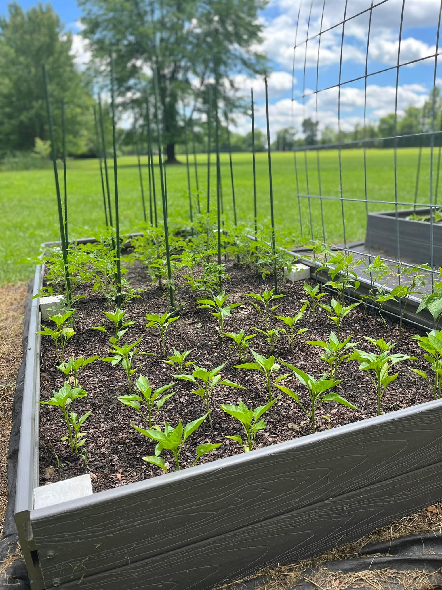  for Wolfe Custom Landscaping in Milford, OH