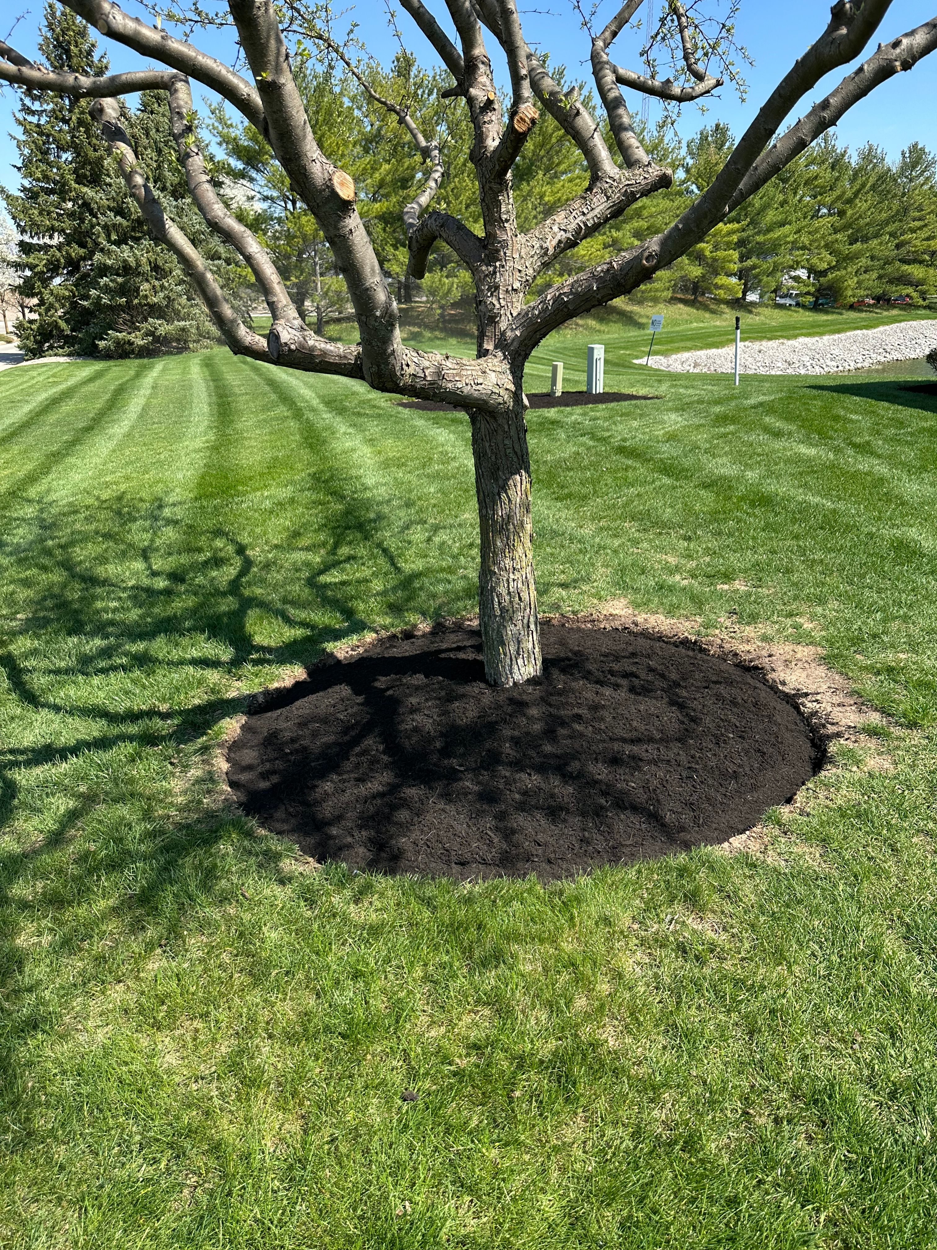  for OT Lawn and Landscaping LLC in Carey, OH
