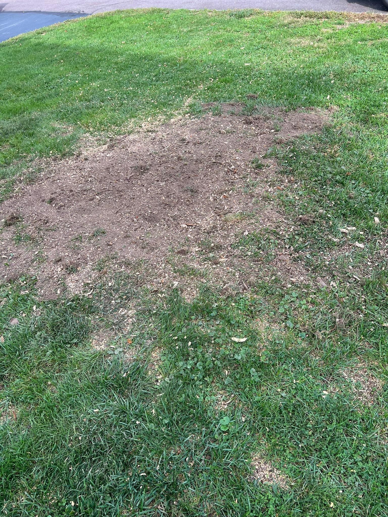  for Lopez Landscaping and Hardscapes in Scranton, PA