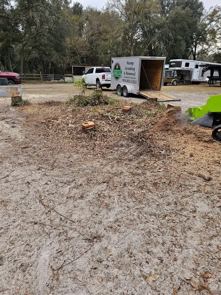  for Stumps done right LLC in Middleburg, FL
