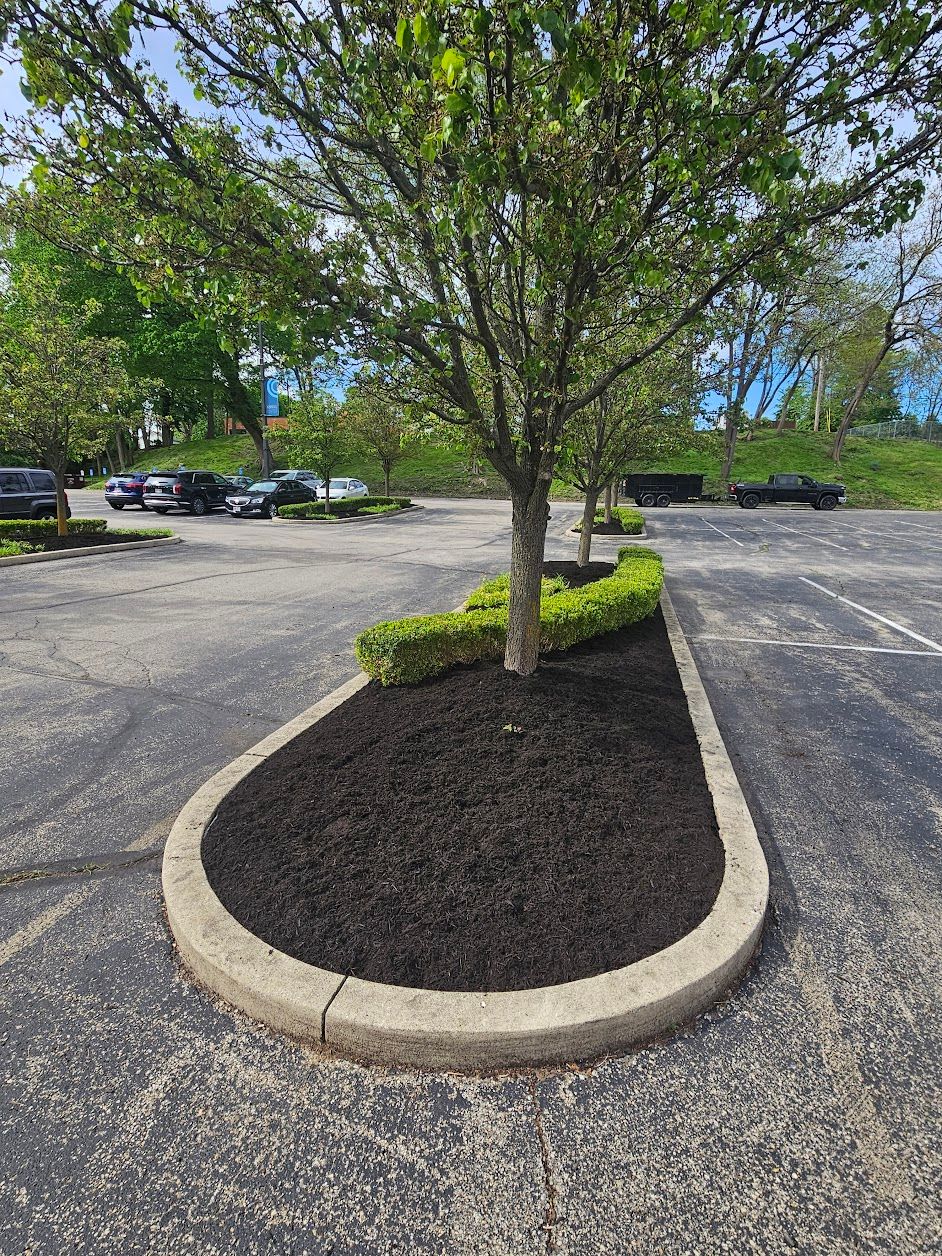  for Tel Ma Landscaping Maintenance LLC  in Urbana, OH