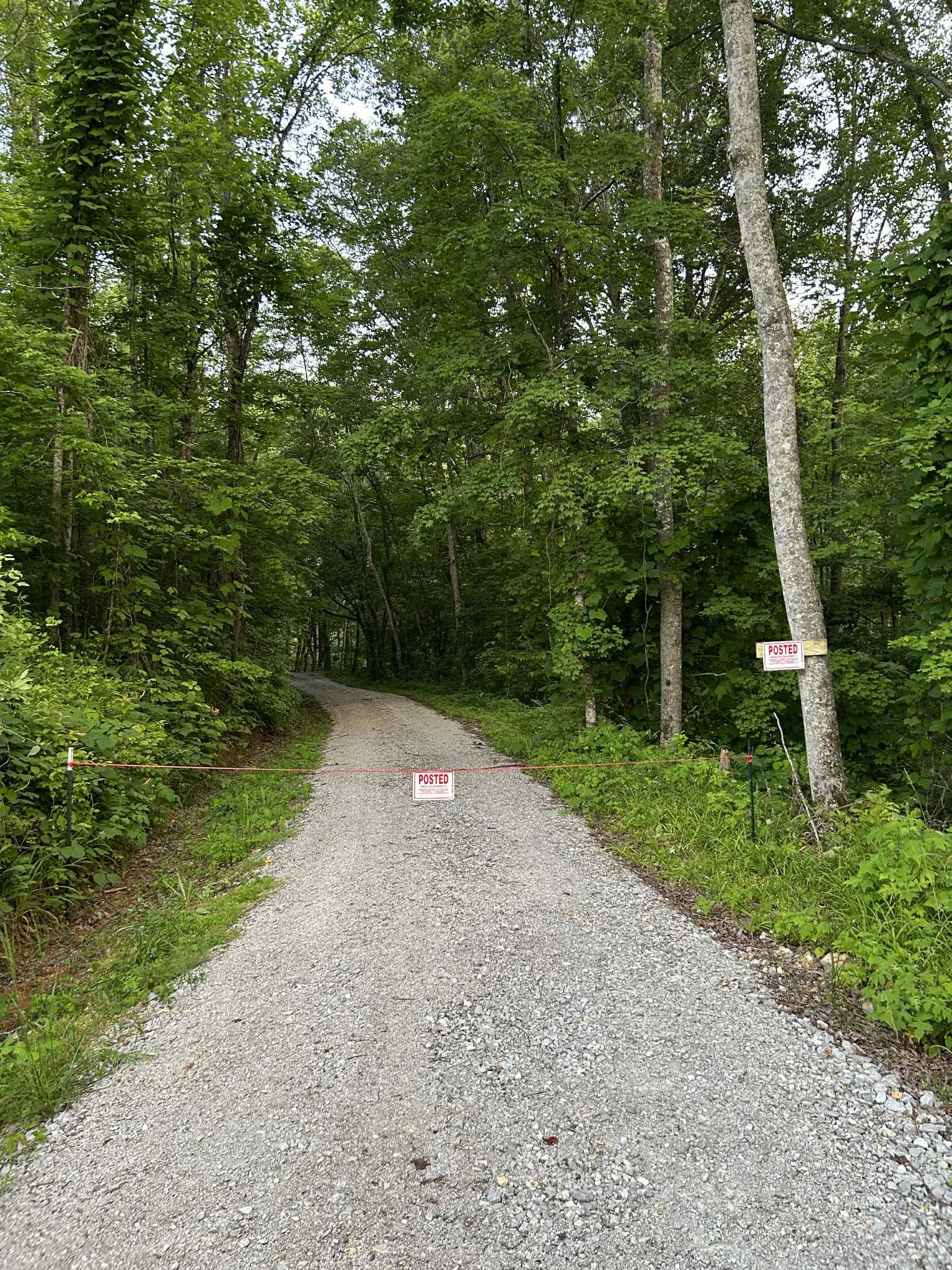  for Z's Land Management & Forestry Mulching in Smithville, TN