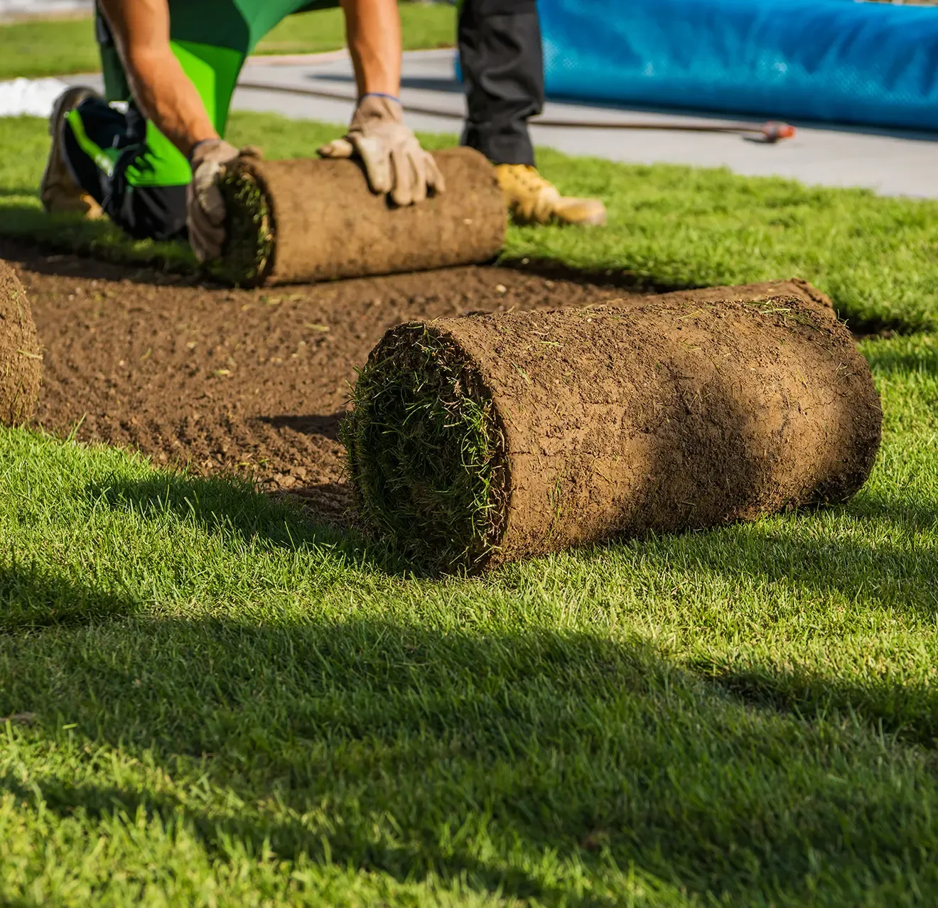  for First Class Landscaping in Collier County, FL