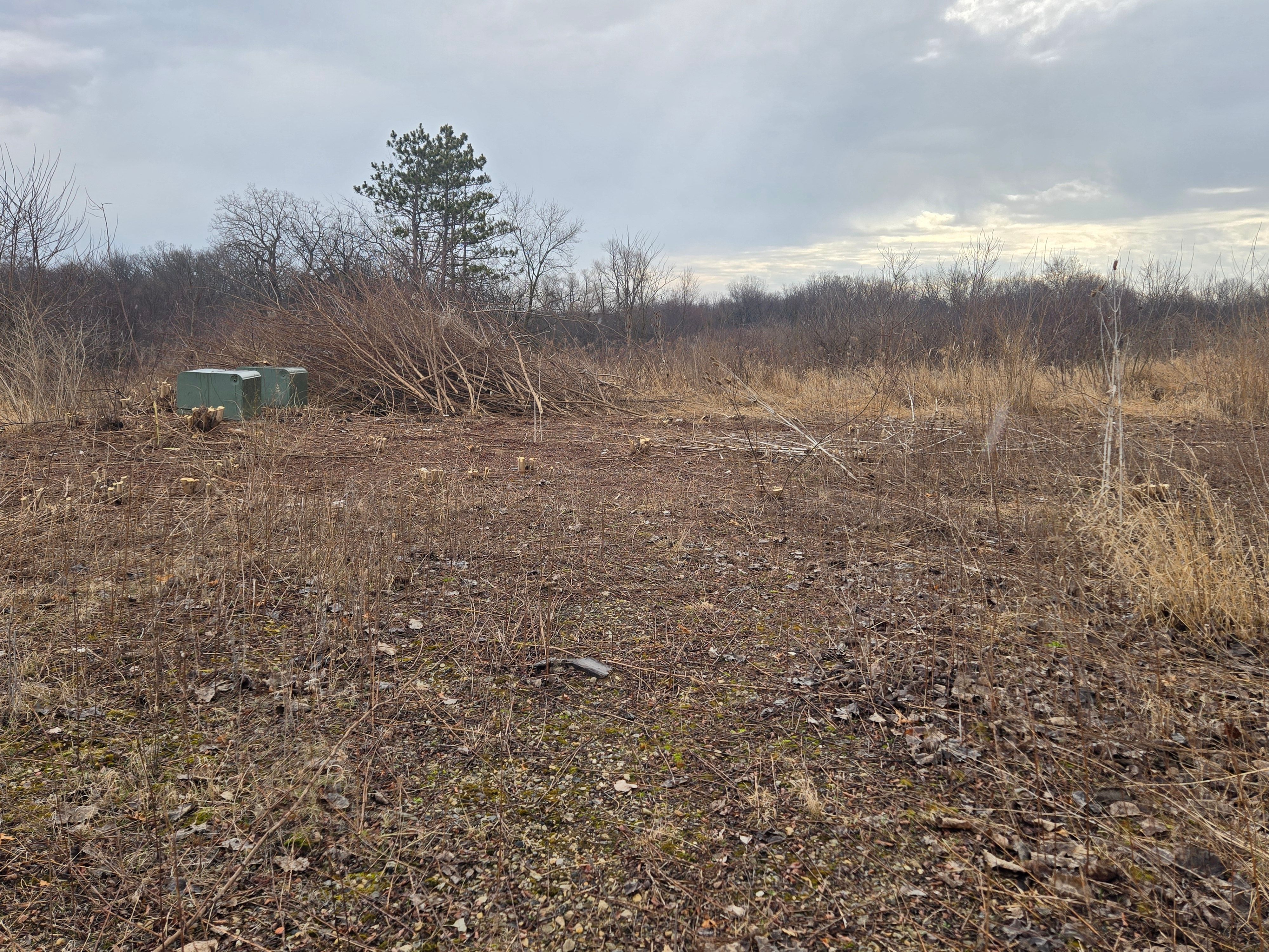 All Photos for Elite Landscaping in Hampshire, IL