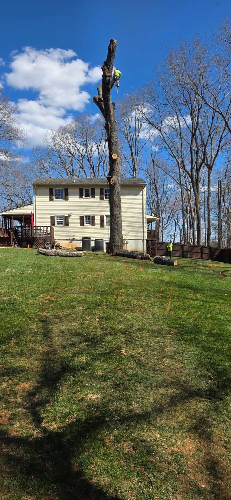  for Hamlett Tree Service LLC in Clover, VA