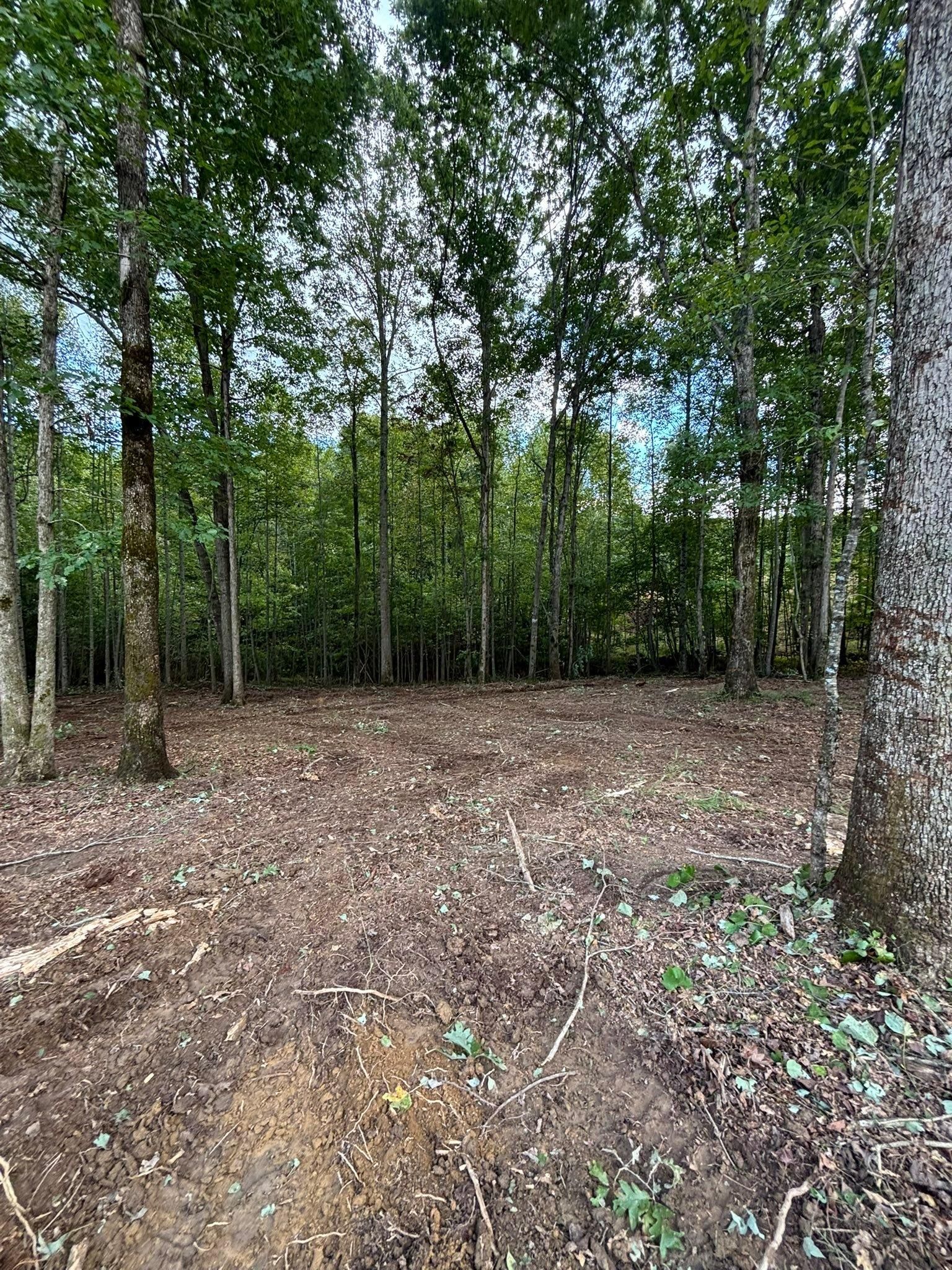 All Photos for TD Dirtworks in Tracy City, TN