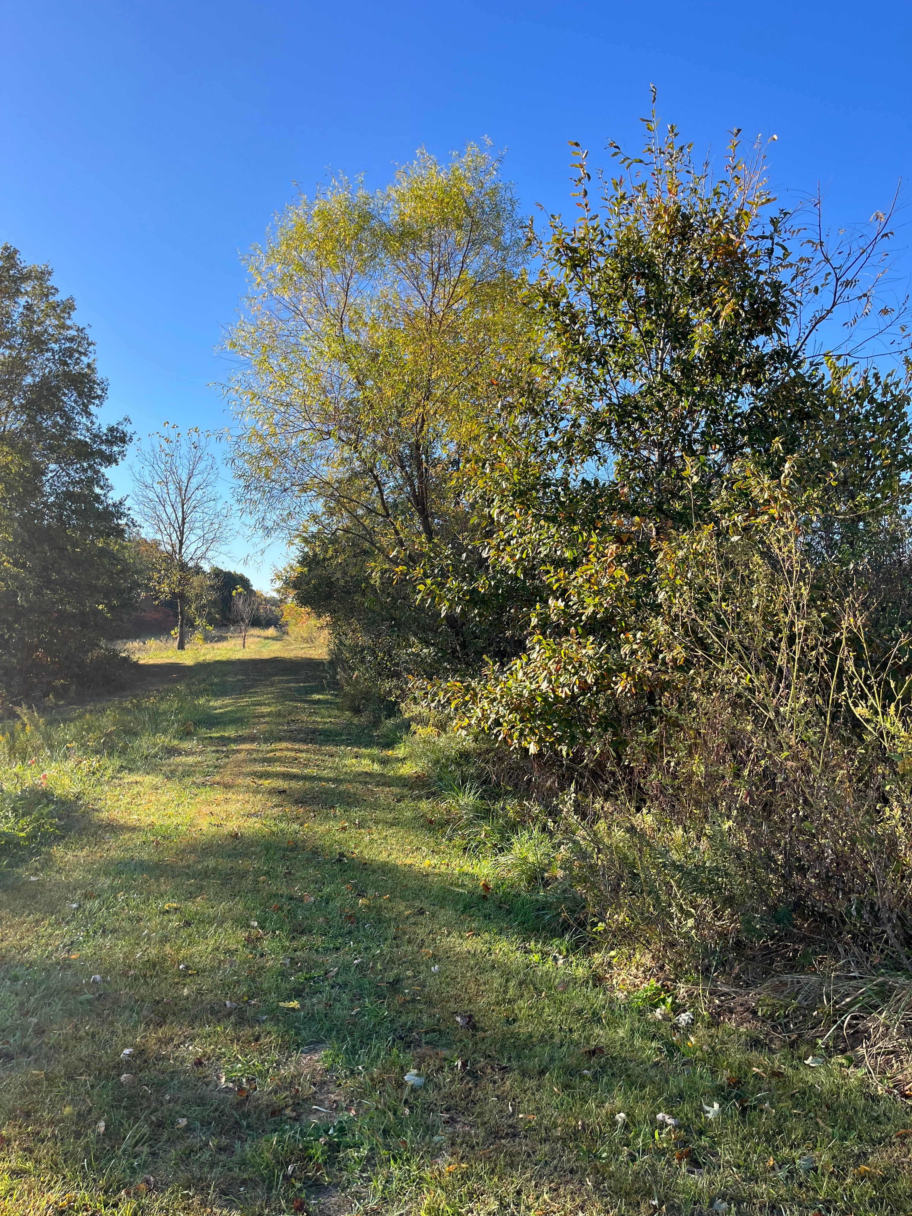  for KG Ground Development and Transportation in Newton, IL