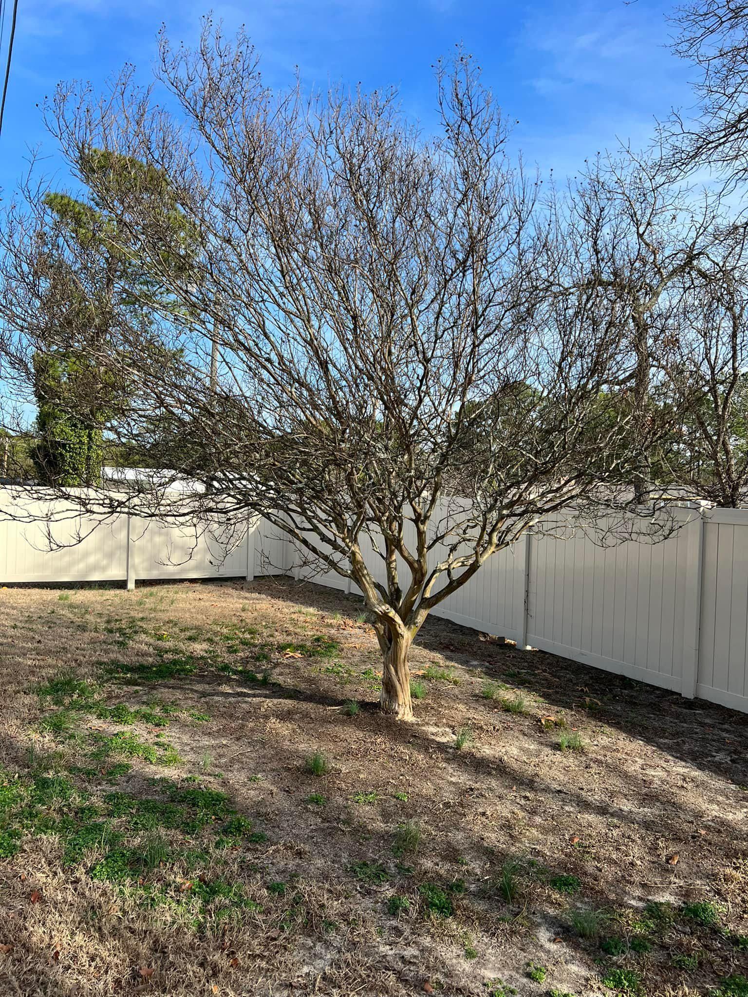  for Shang's Landscaping Service in Columbia, South Carolina