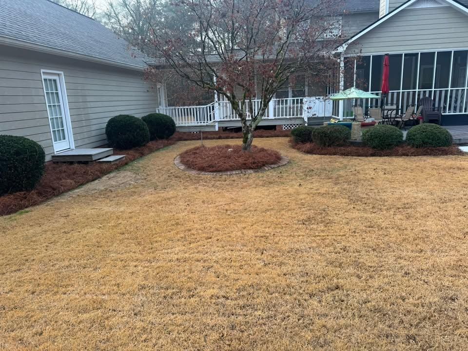  for Sunrise Lawn Service LLC in Rome, GA