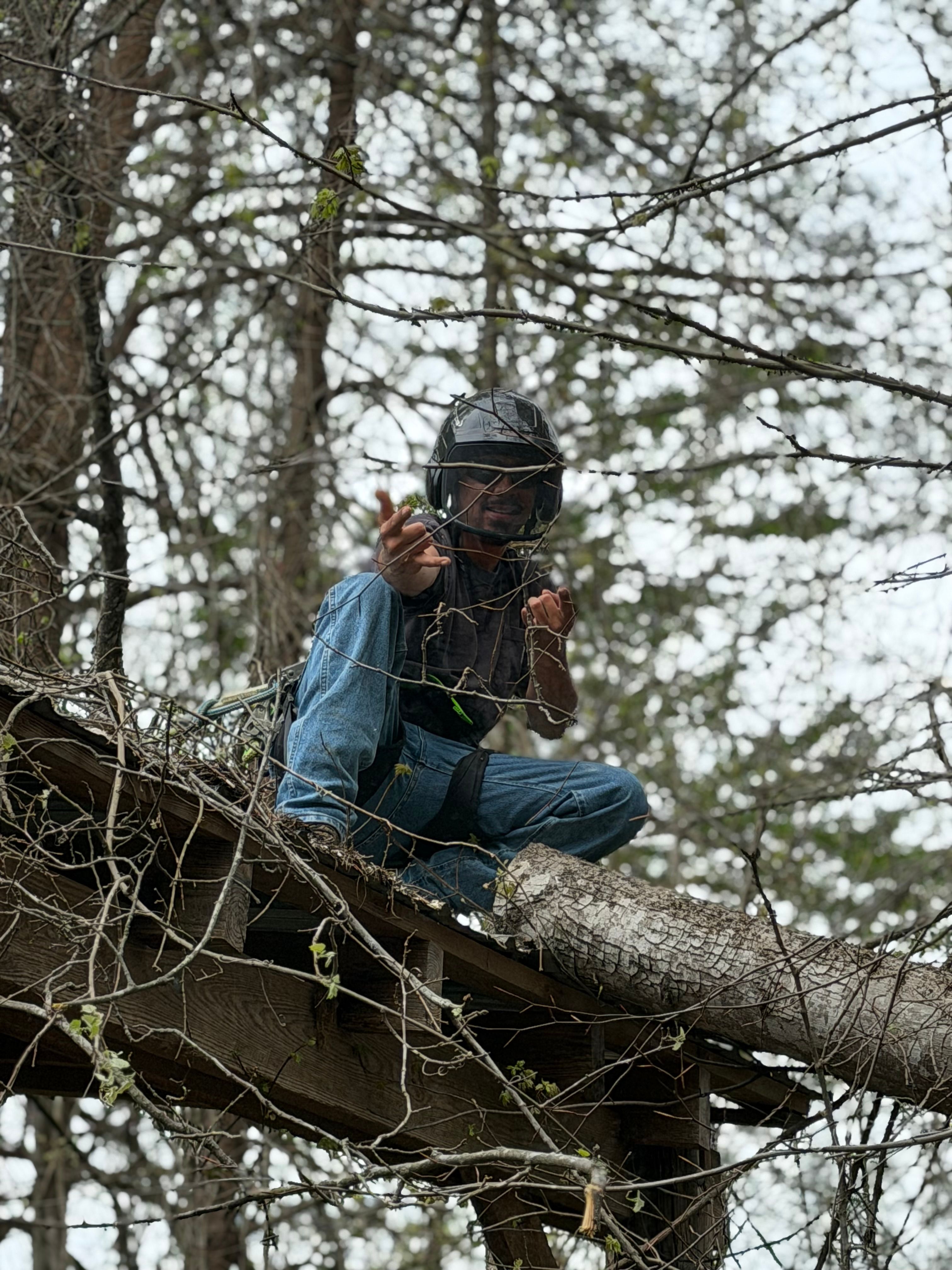  for Ramirez Tree Care in Elkin, NC