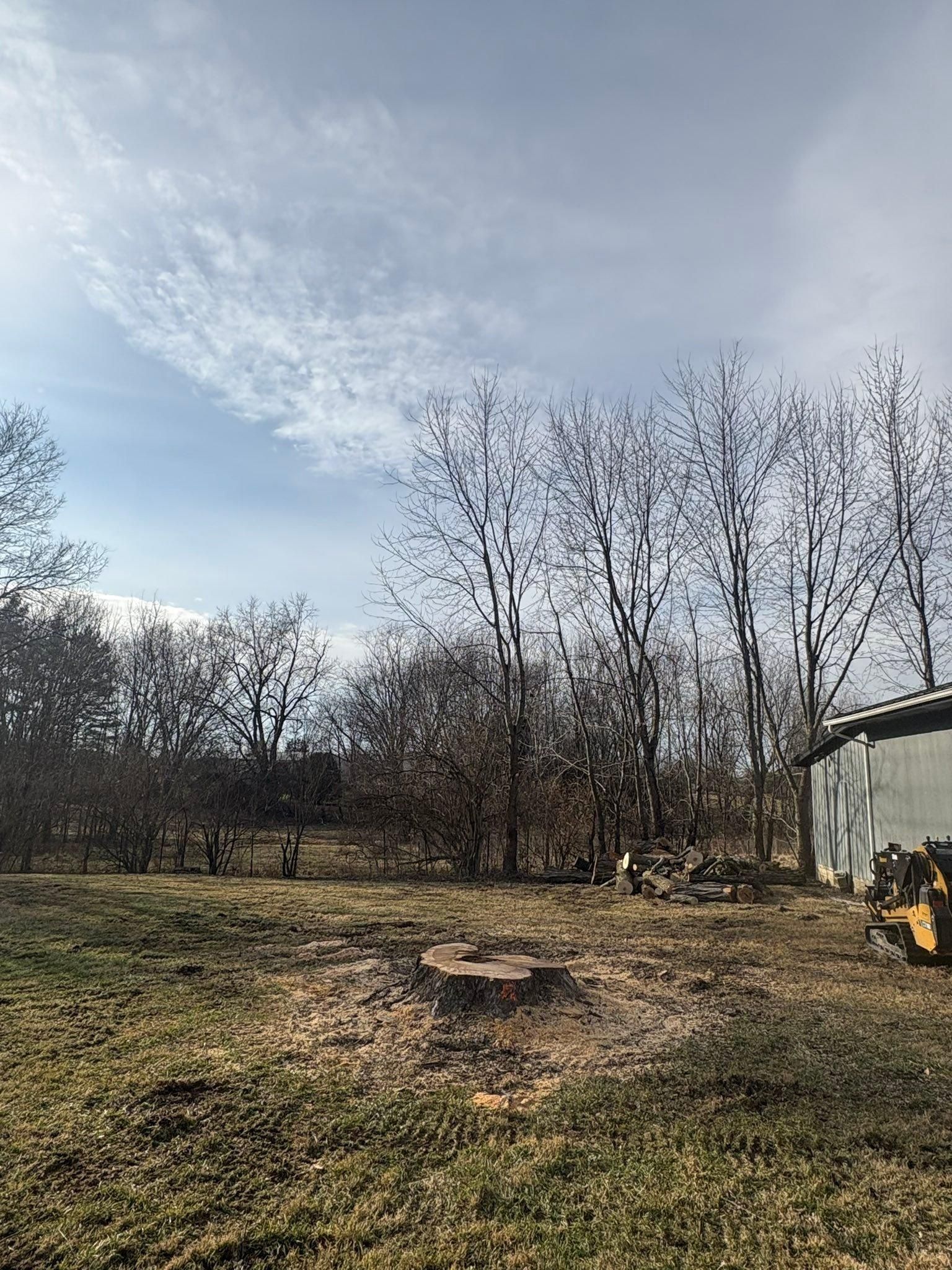  for Dig-It Tree Company in Mason, OH