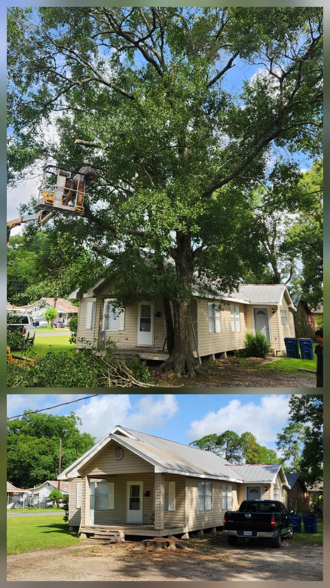  for Ken's Elite Cutters LLC  in Breaux Bridge, LA