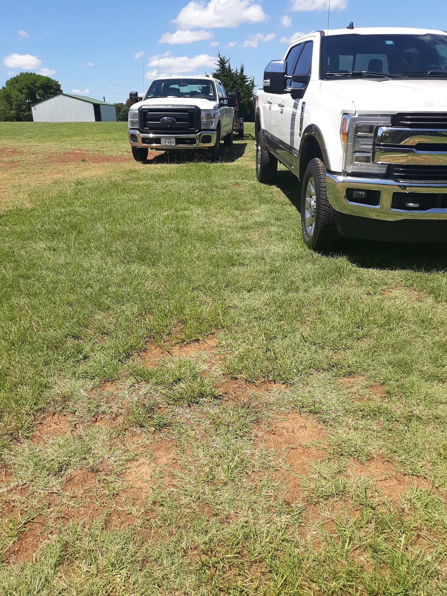 All Photos for Leon Landscaping & Tree Service in Palestine, TX