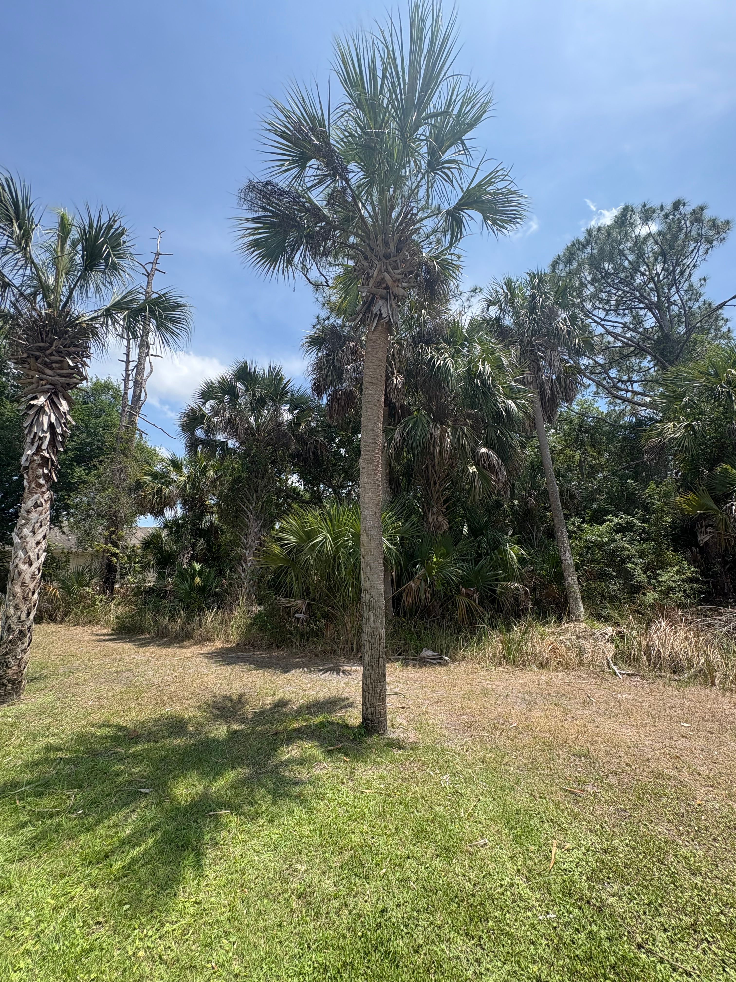  for R&R GreenWorks in North Port, FL