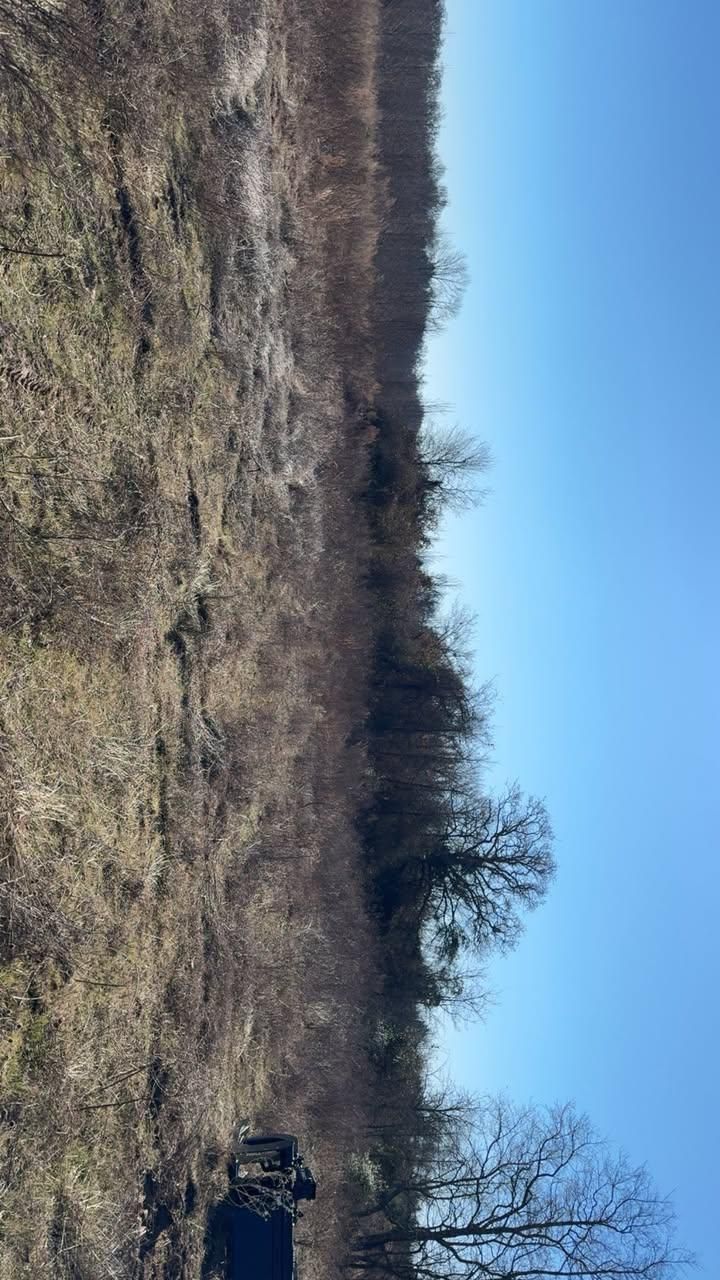  for Superior Land Services in Wills Point, TX