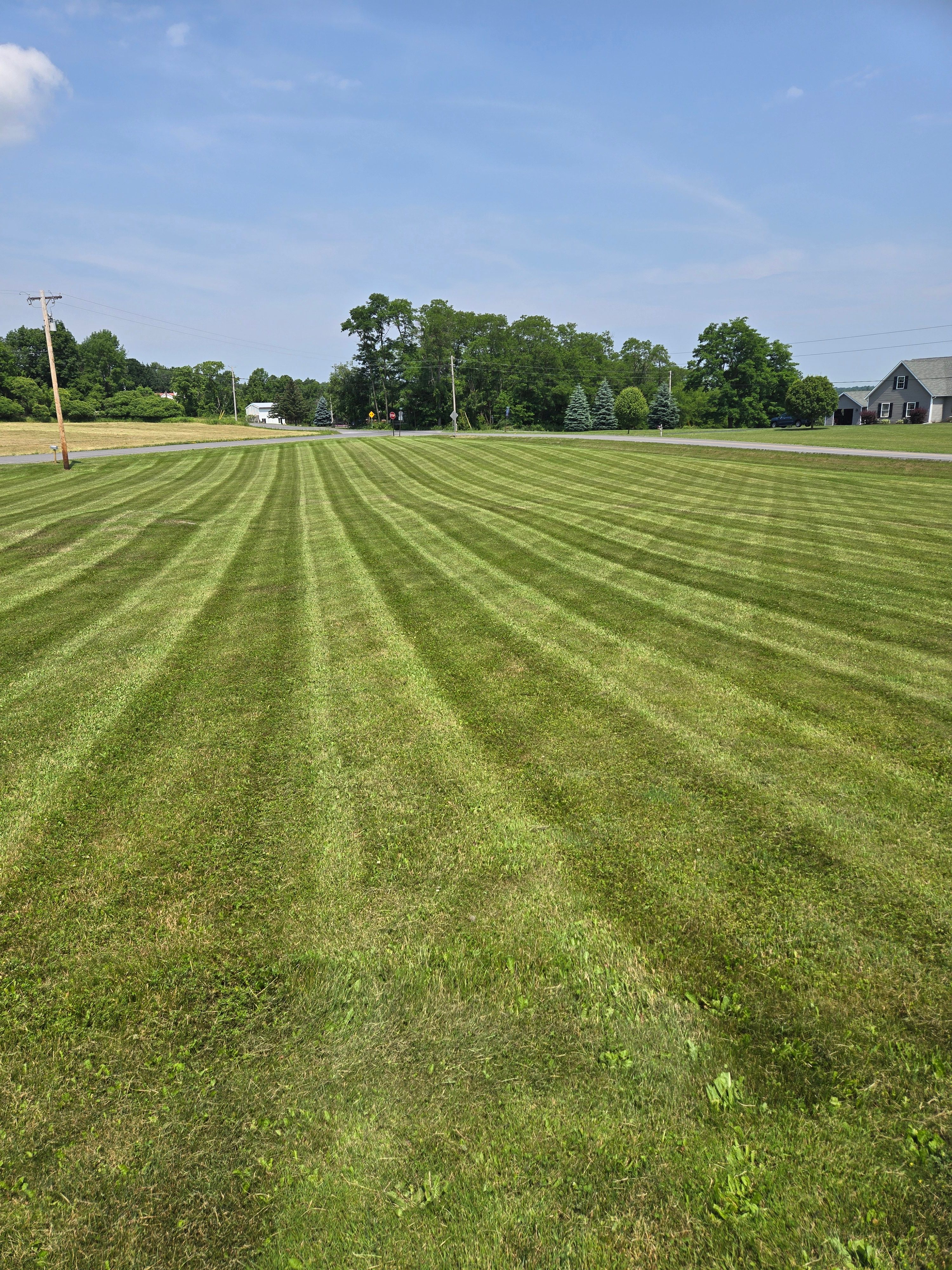  for Fancher's Lawns & Landscaping LLC in Schoharie County, NY