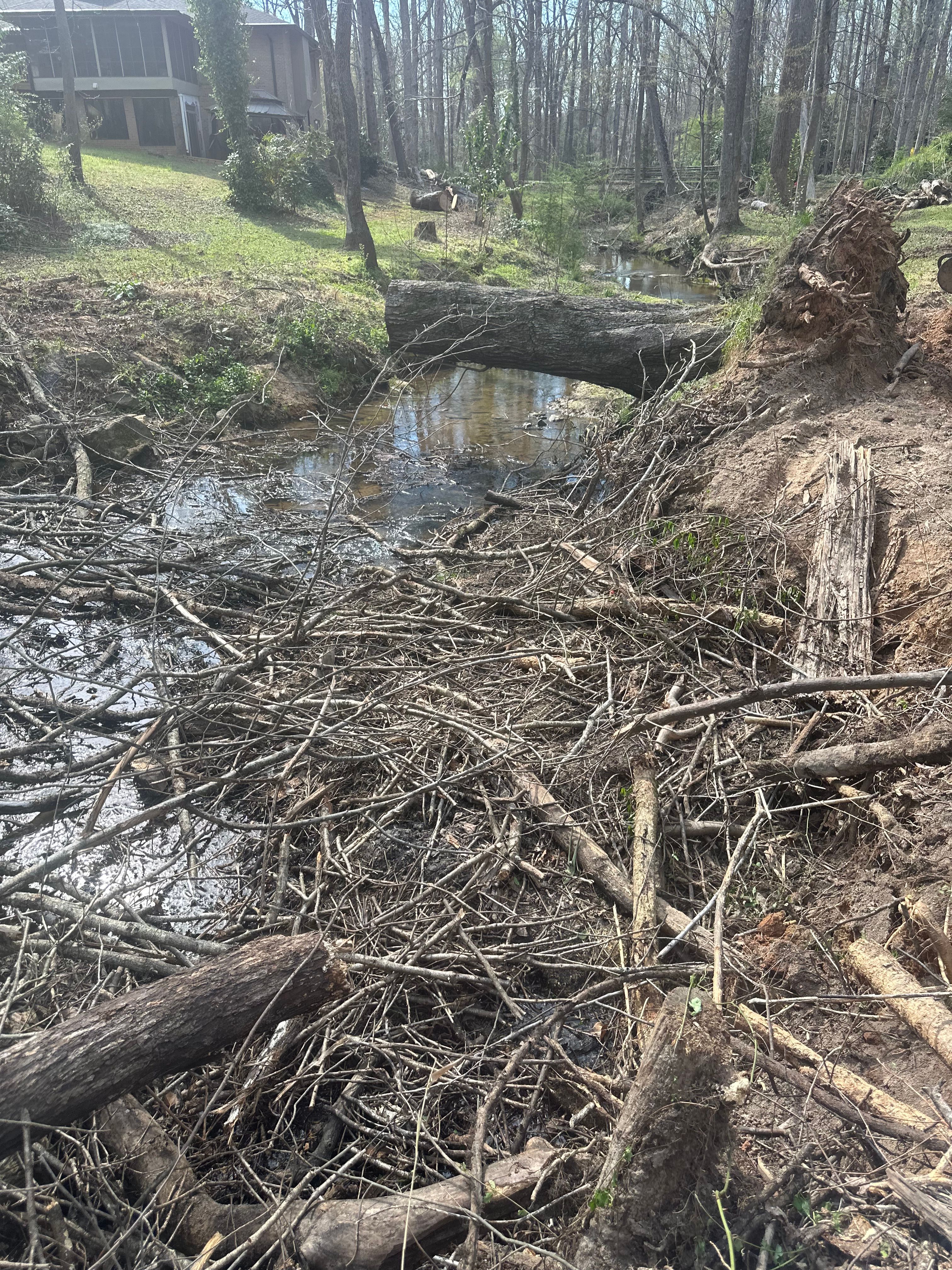  for Toney Site Services LLC in Rutherford County, NC