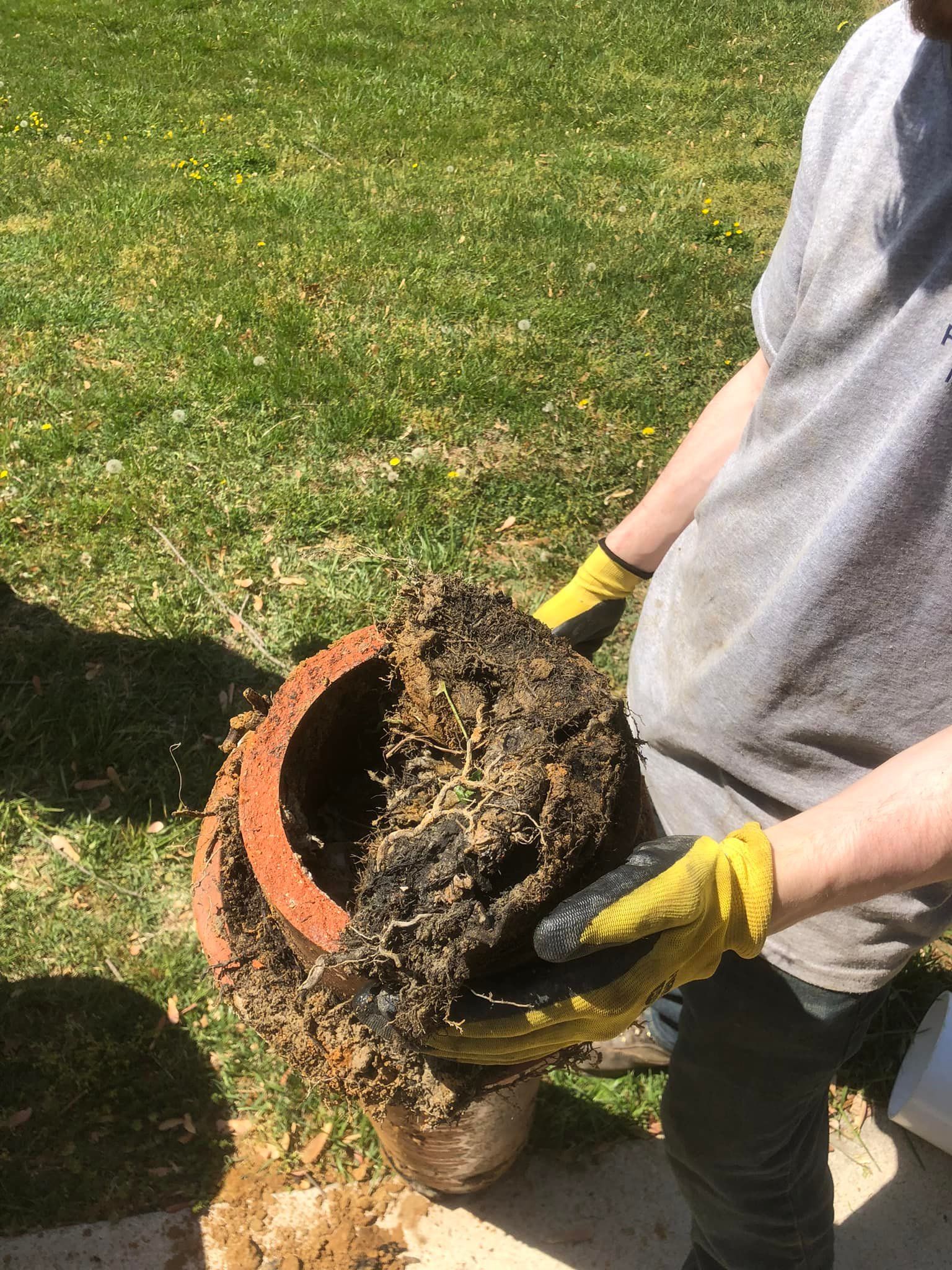  for Drain Pro Plus in Essex, MD