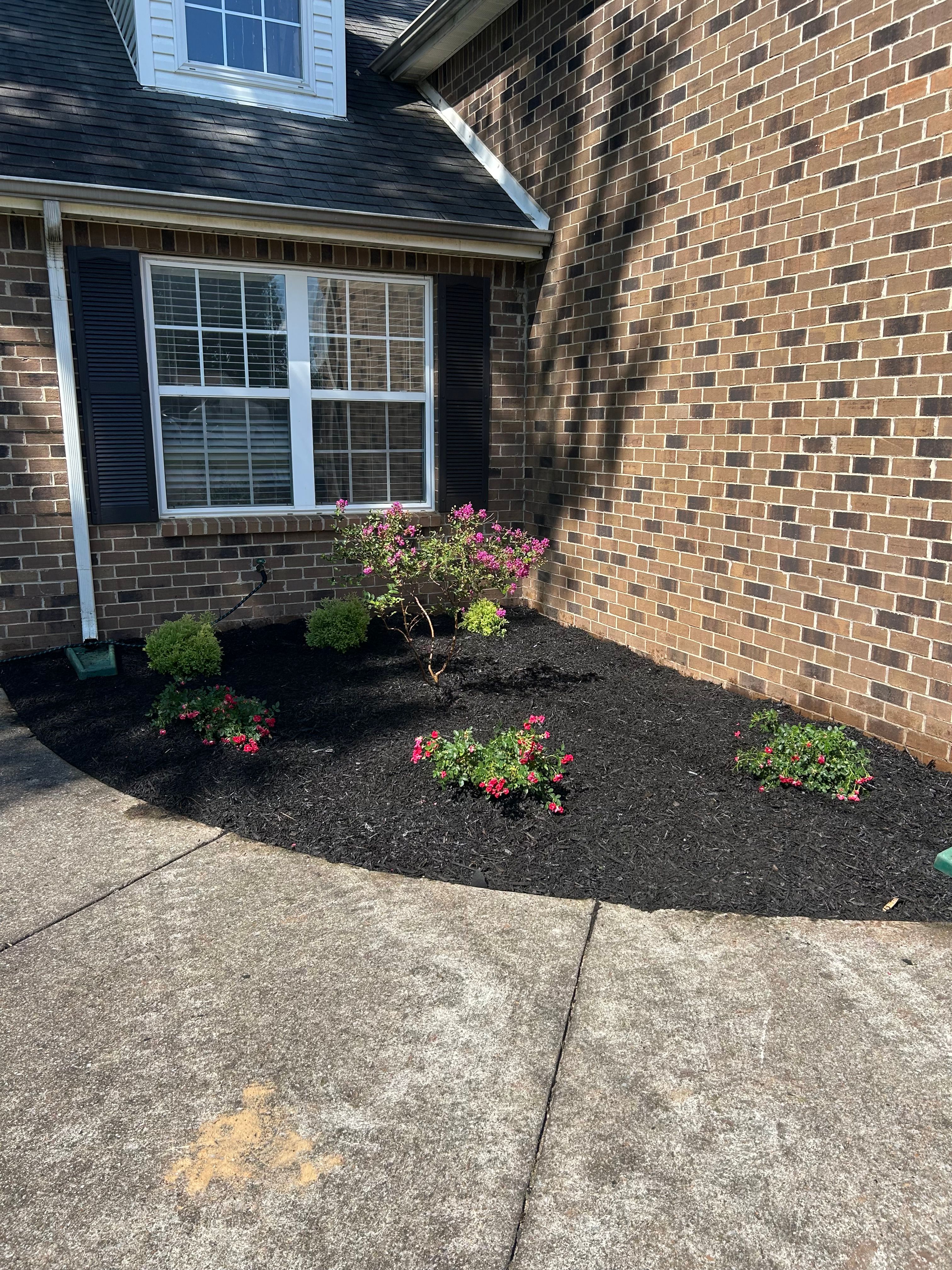 All Photos for MLC in Murfreesboro, TN