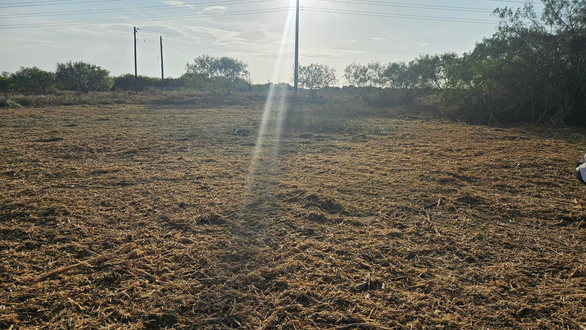 All Photos for Hernandez Land Clearing Services in Alice, TX