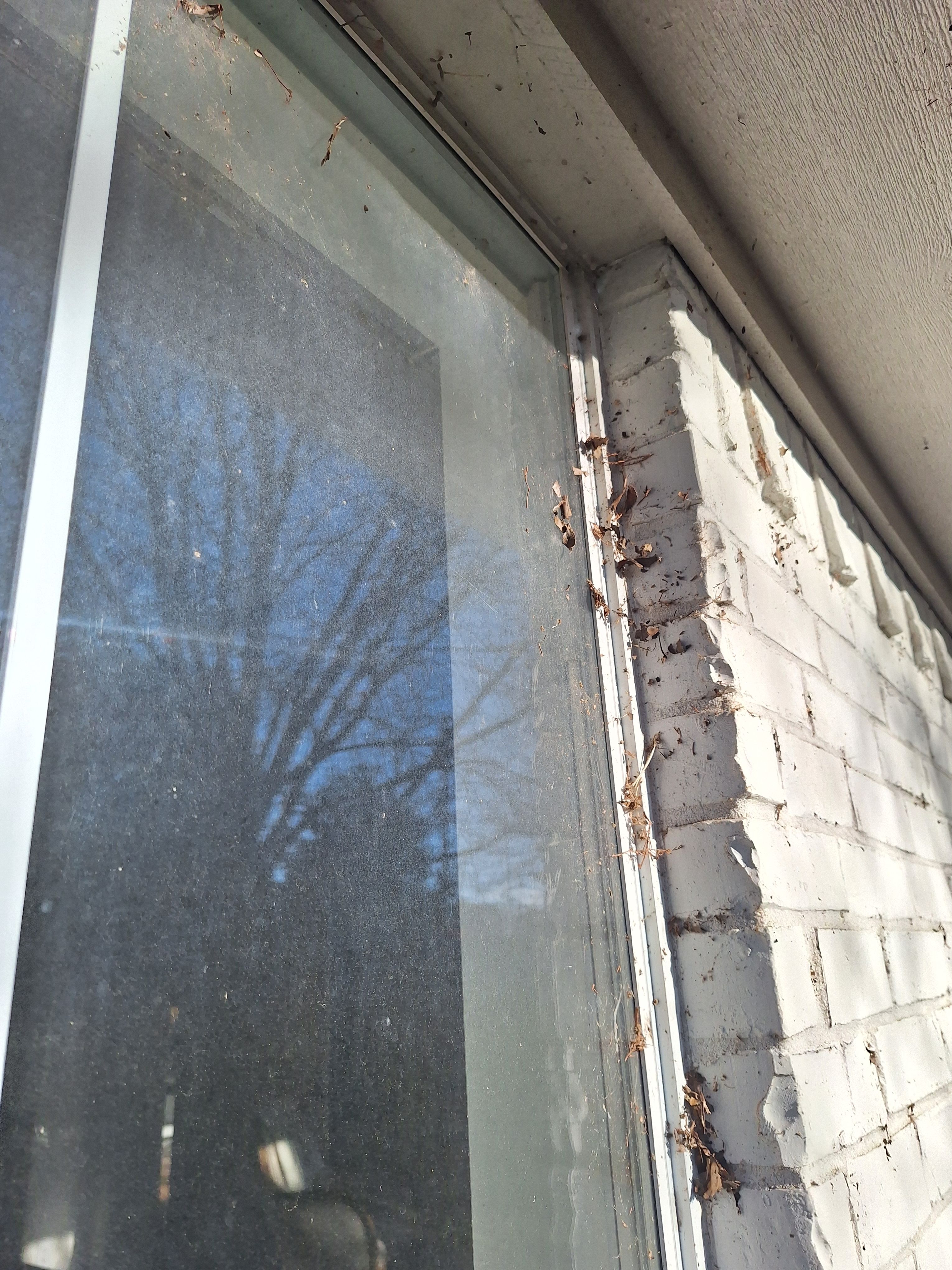  for Connected Exterior Cleaning in Dallas, TX