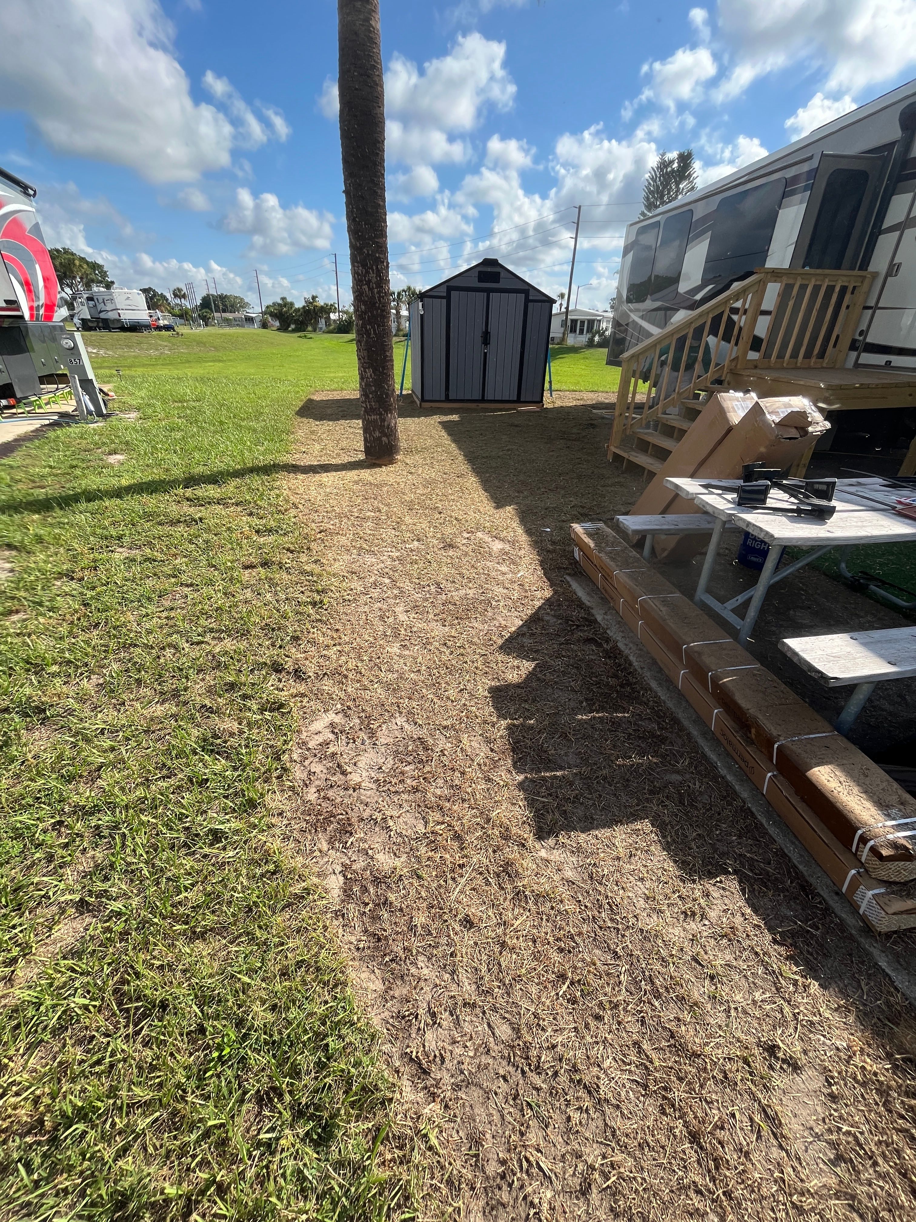 Tree Services for Ludlows Services in Clermont, FL