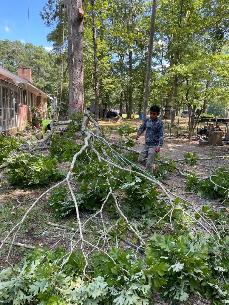 Tree Removal for Rosales Landscaping LLC in Lake Gaston, North Carolina