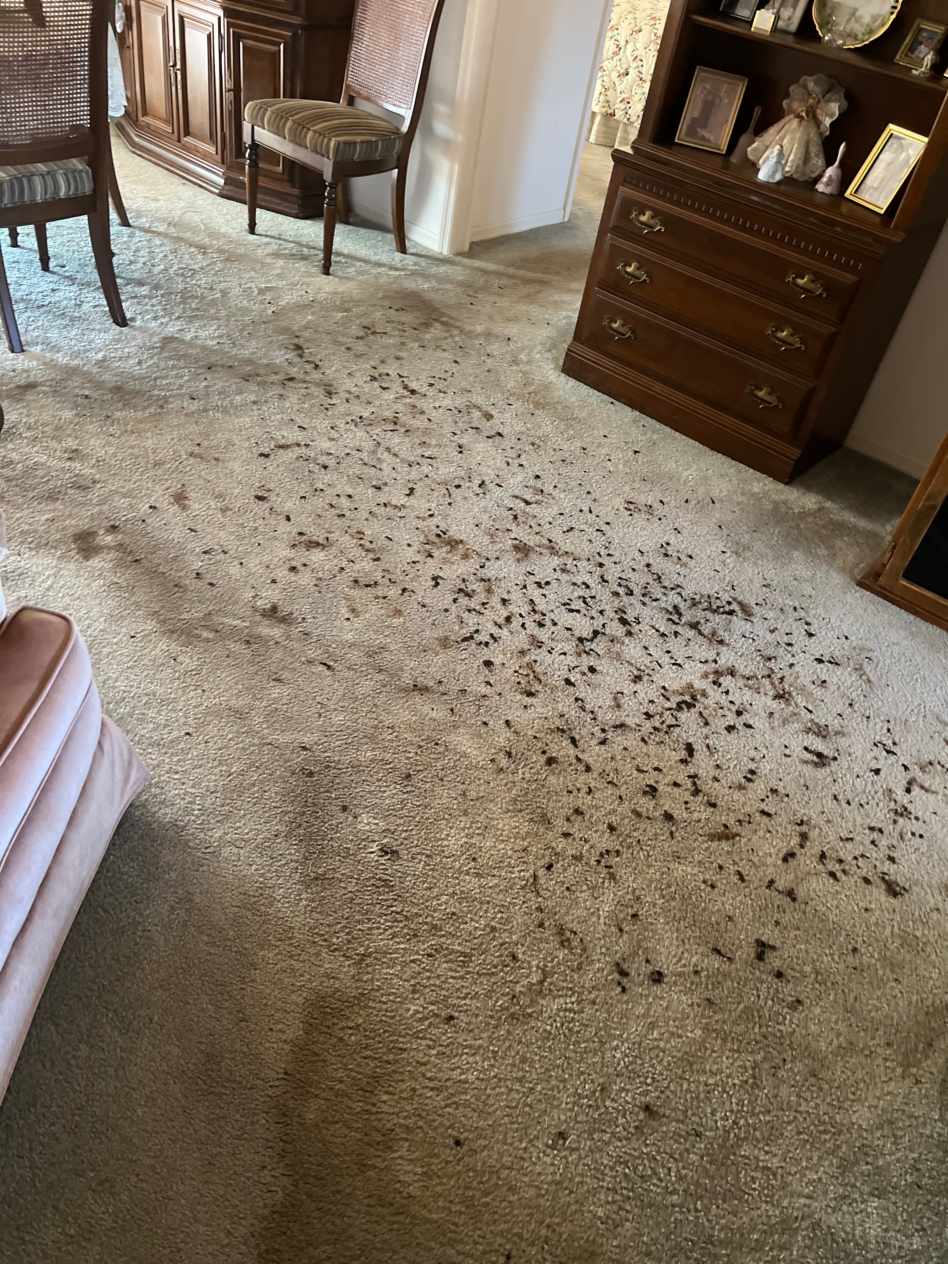  for N&D Restoration Services When Disaster Strikes, We Come In in Cape Coral,  FL