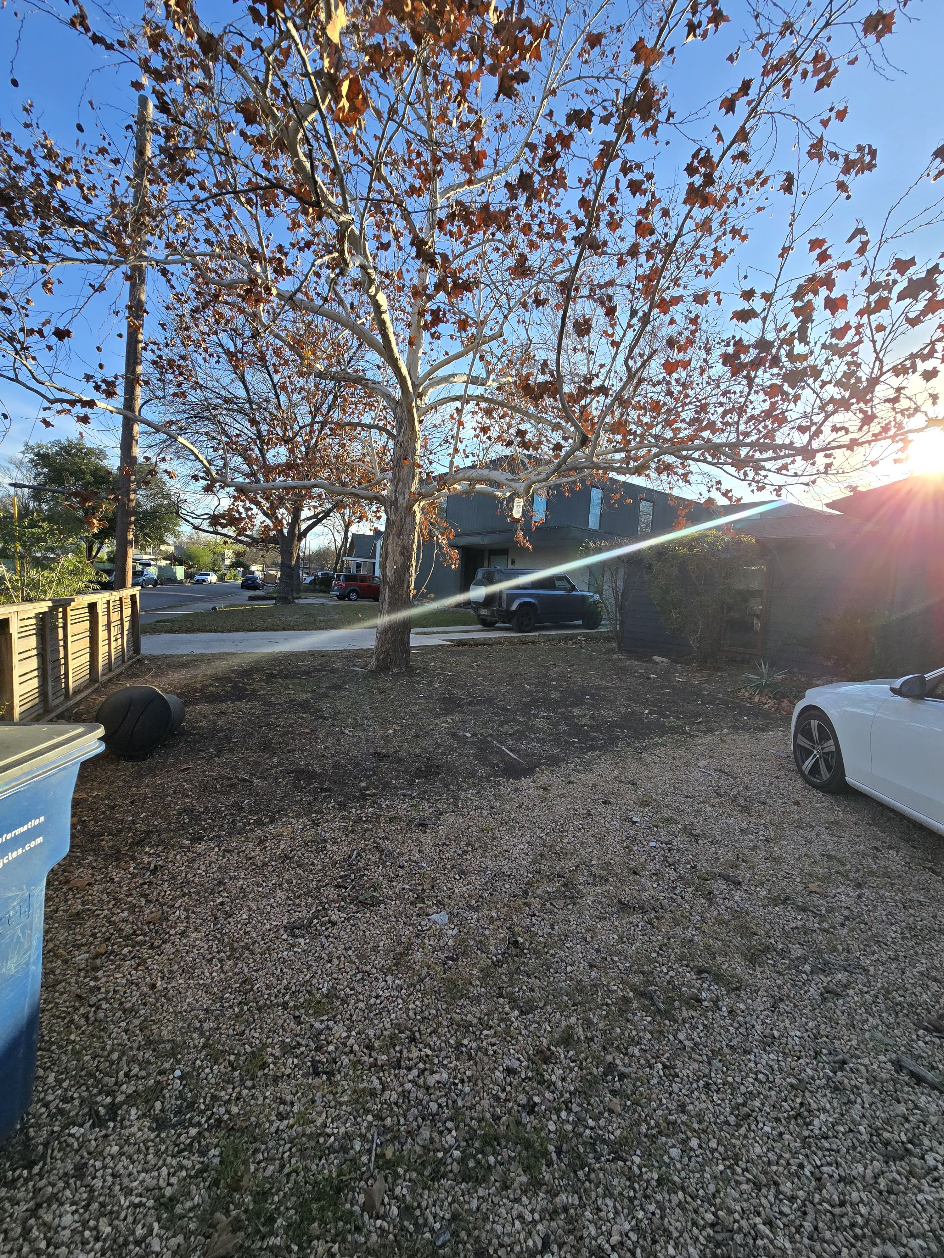  for Green Pastures Lawn Care in Bastrop, TX