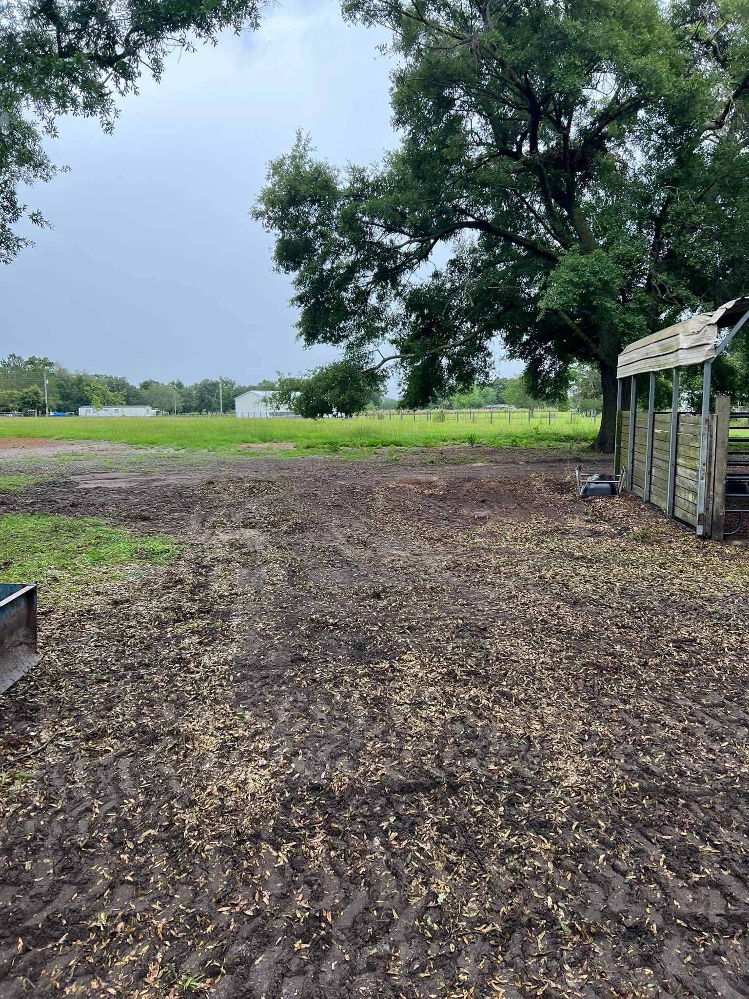  for Warners Tree Solutions in Live Oak, FL