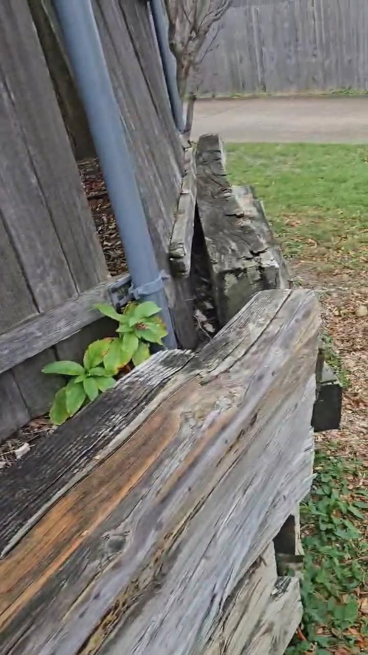  for Rojas Contractors in Fort Worth, TX