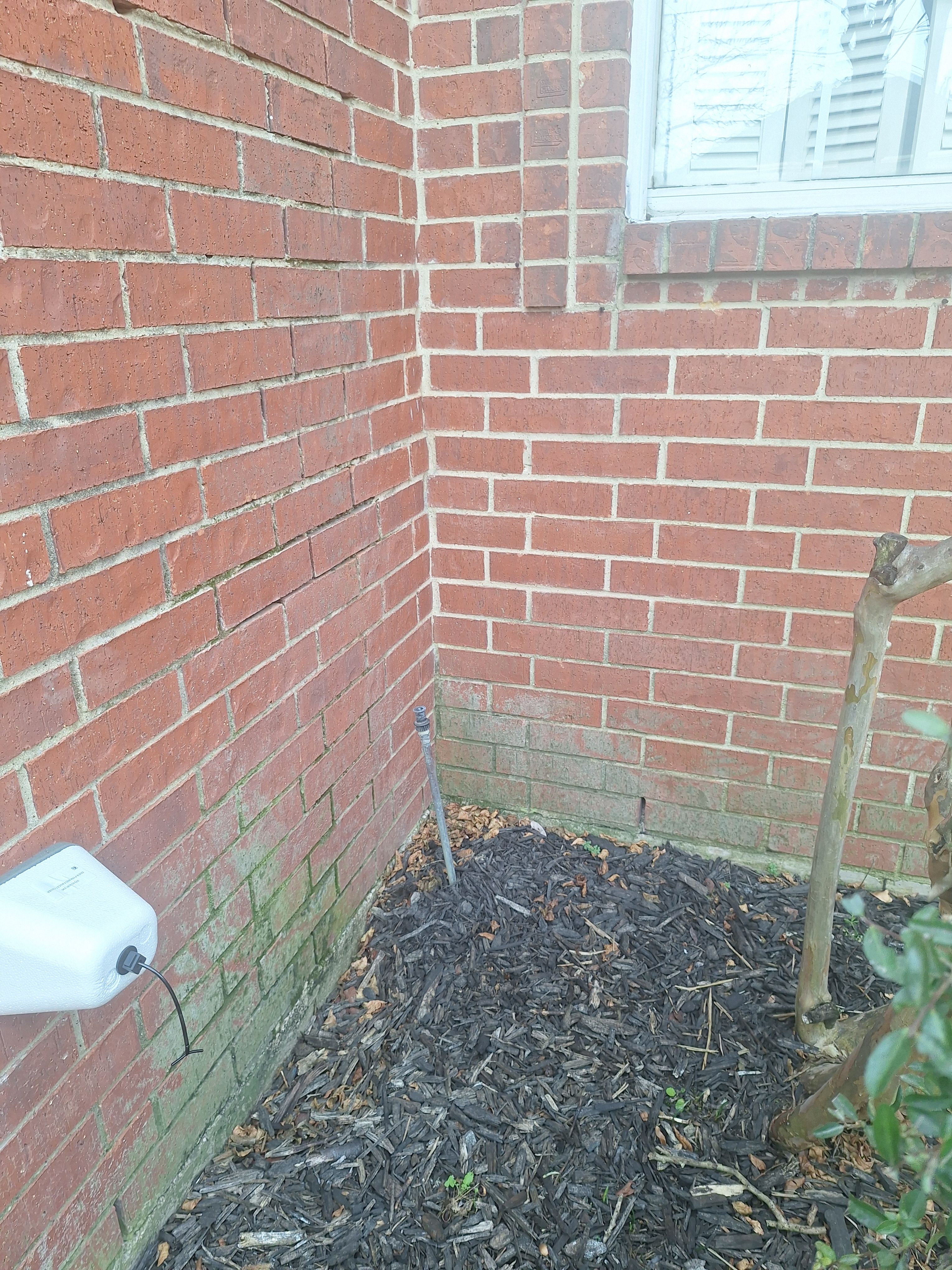  for Connected Exterior Cleaning in Dallas, TX