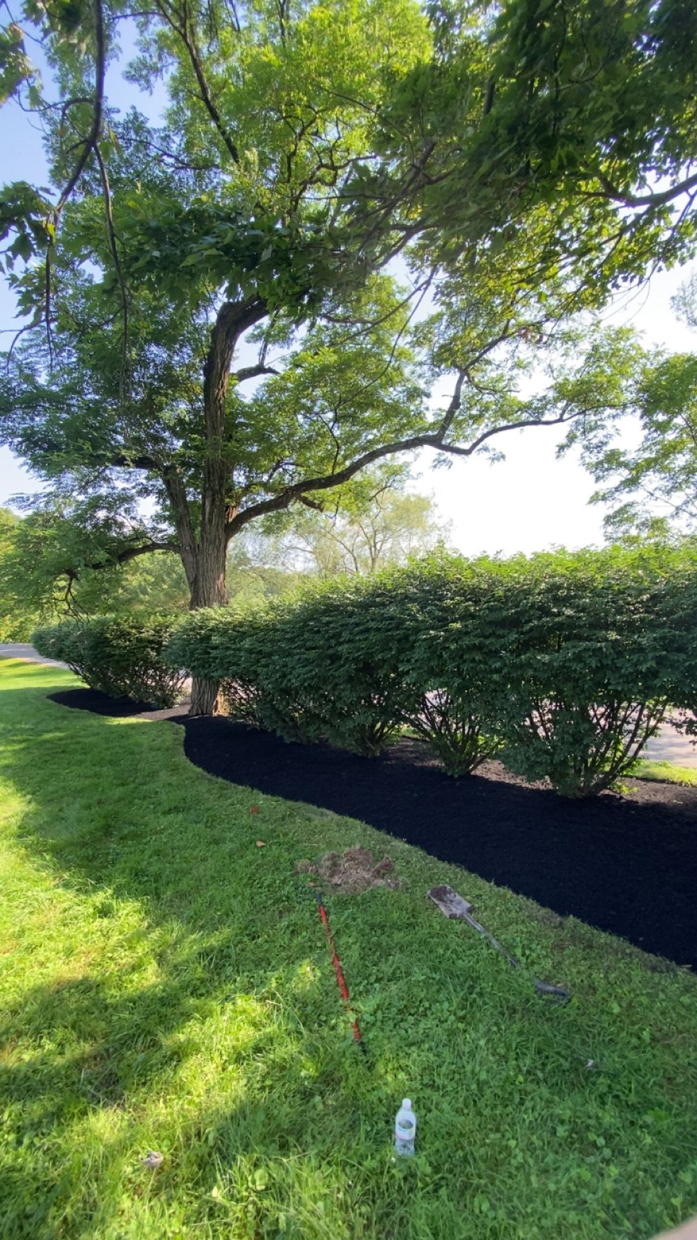  for Saul’s Landscaping Services in Jersey Shore, PA